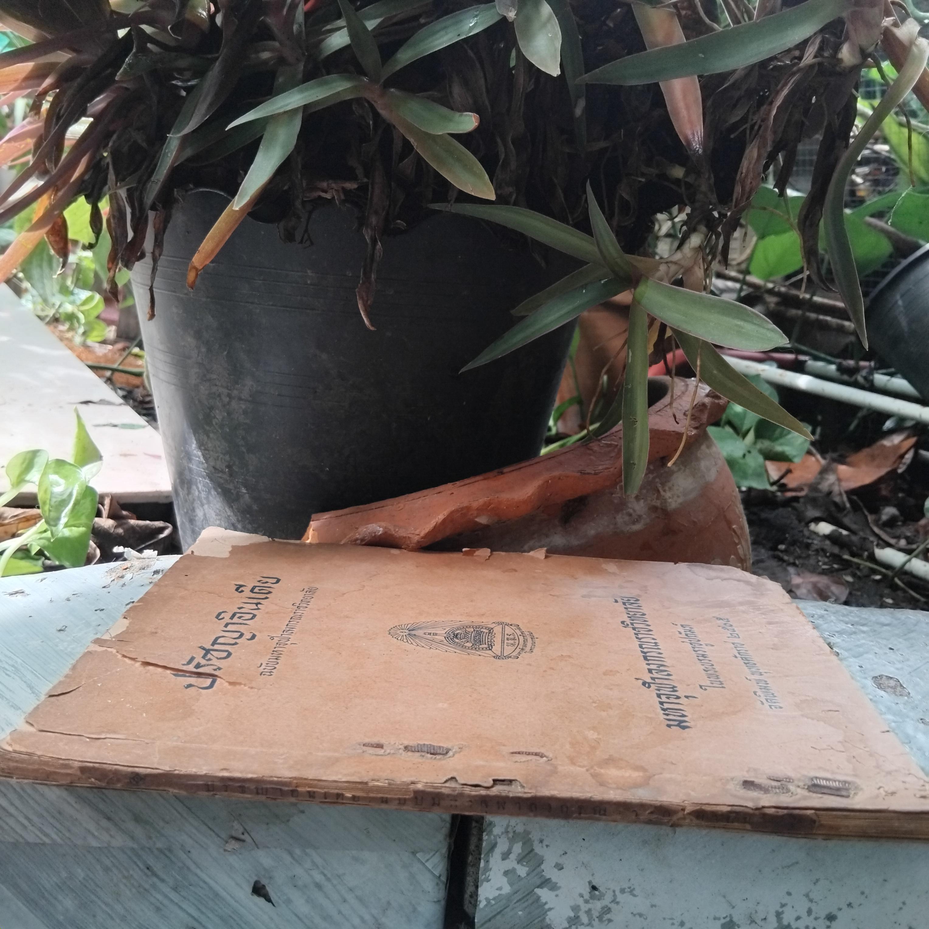 ปรัชญาอินเดีย แปลโดย พระมหาสนั่น กมโล ในส่วนของบทที่ 2 และ 3 ปี 2505 หน้าครบ กระดาษไม่หลุด