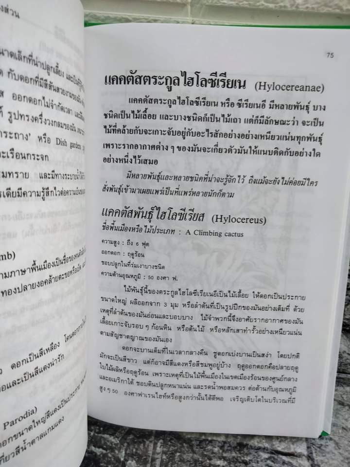 ตำราปลูกเลี้ยงและขยายพันธุ์ แคคตัส และ ไม้ใบอวบ