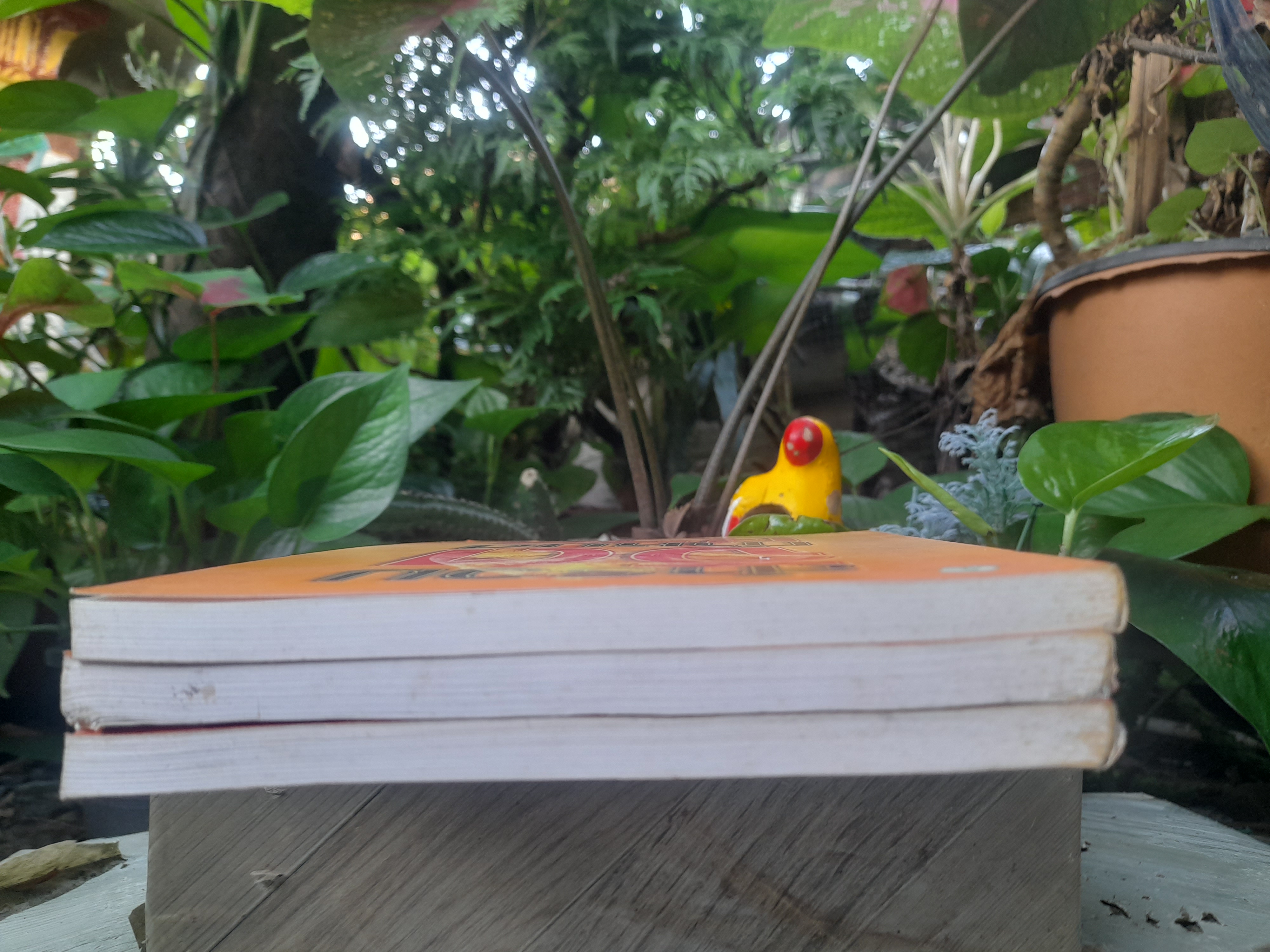 สำรวมจิต กำหนดชีวิต การควบคุมสู่ชัยชนะทางอารมณ์โดยใช้หลักศาสนาและจิตวิทยา โดย ดร.ครองขวัญ ไชยธรรมสถิต หนังสือมือหนึ่ง หายาก