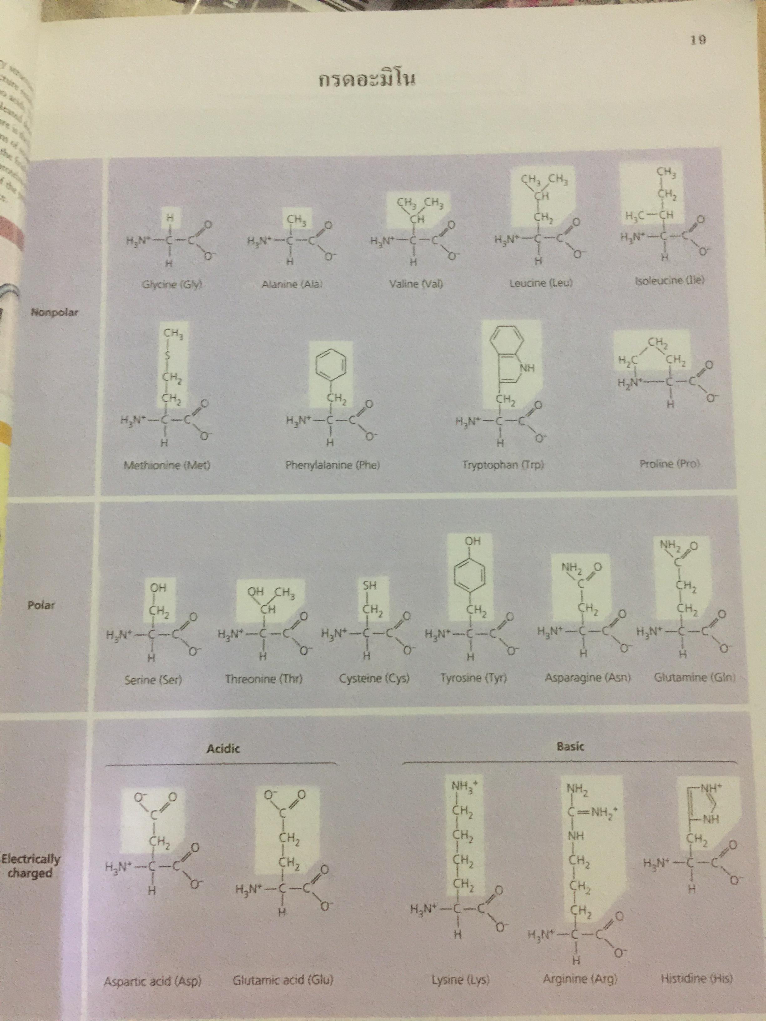 BIOLOGY ผู้เขียน อาจารย์ เอกฤทธิ์ วีระพันธุ์ 0 กก.
