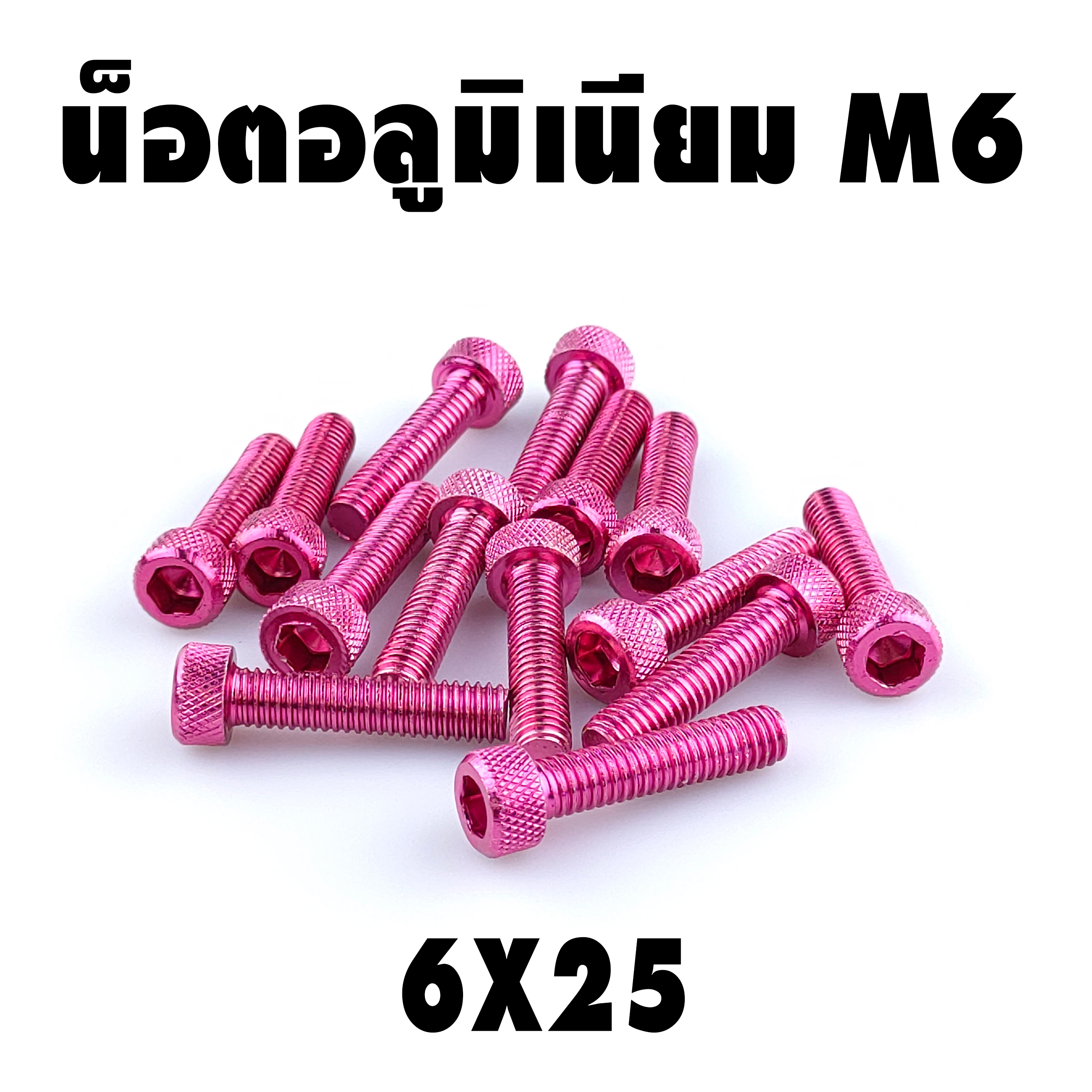 น็อตแต่ง อลูมิเนียม 6*25 (เบอร์ 10) ชุดละ 10 ตัว ราคา 100 บาท