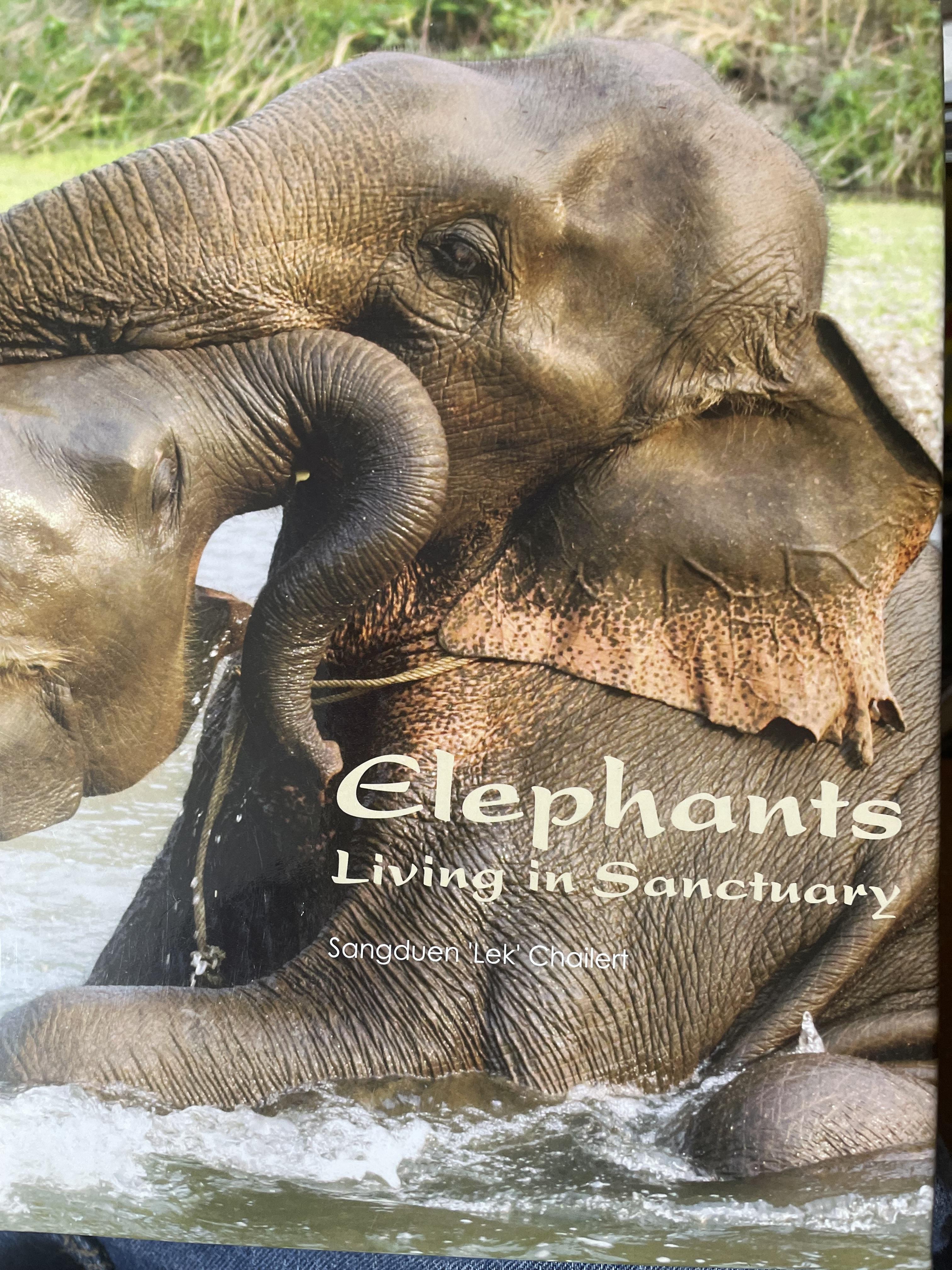 Elephants Living in Sanctuary 3 กก.