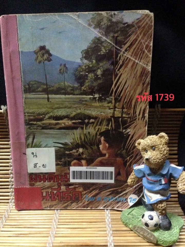 แผ่นดินนี้เป็นที่รัก