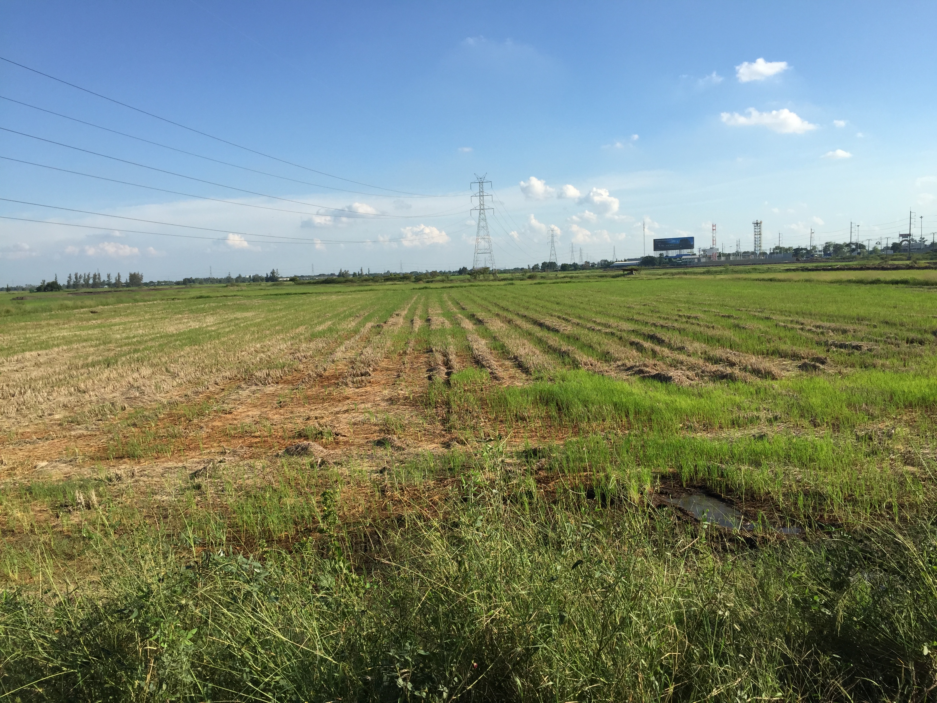 ที่ดินเปล่า19ไร่ ตำบล บ้านหว้า อำเภอ บางปะอิน พระนครศรีอยุธยา