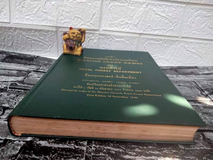พรรณไม้แห่งประเทศไทย ชื่อพฤกษศาสตร์-ชื่อพื้นเมือง