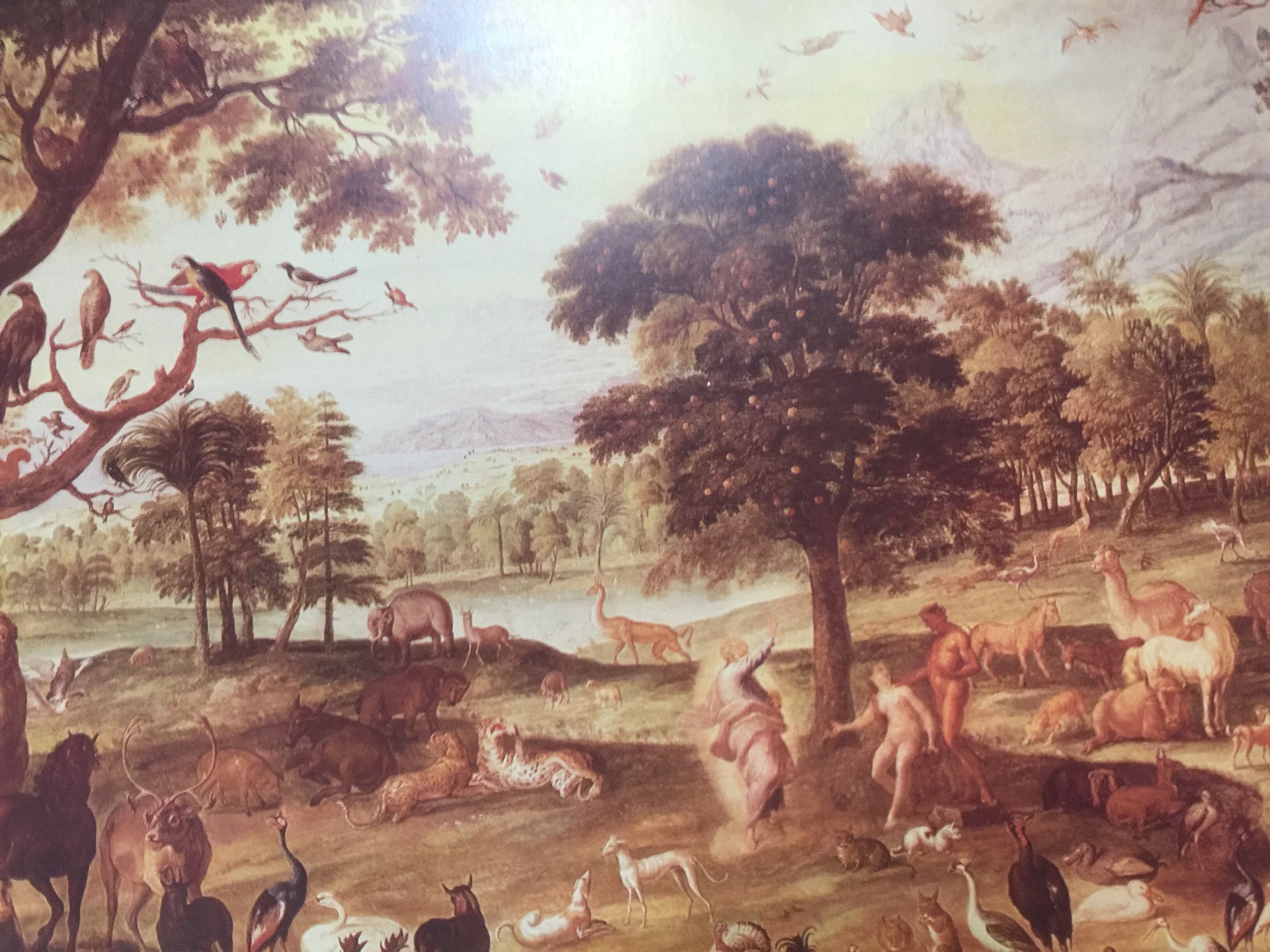 GOLD OF THE ANDES. The Llamas Alpacas. Vicunas. and Guancos of South America 0 กก.