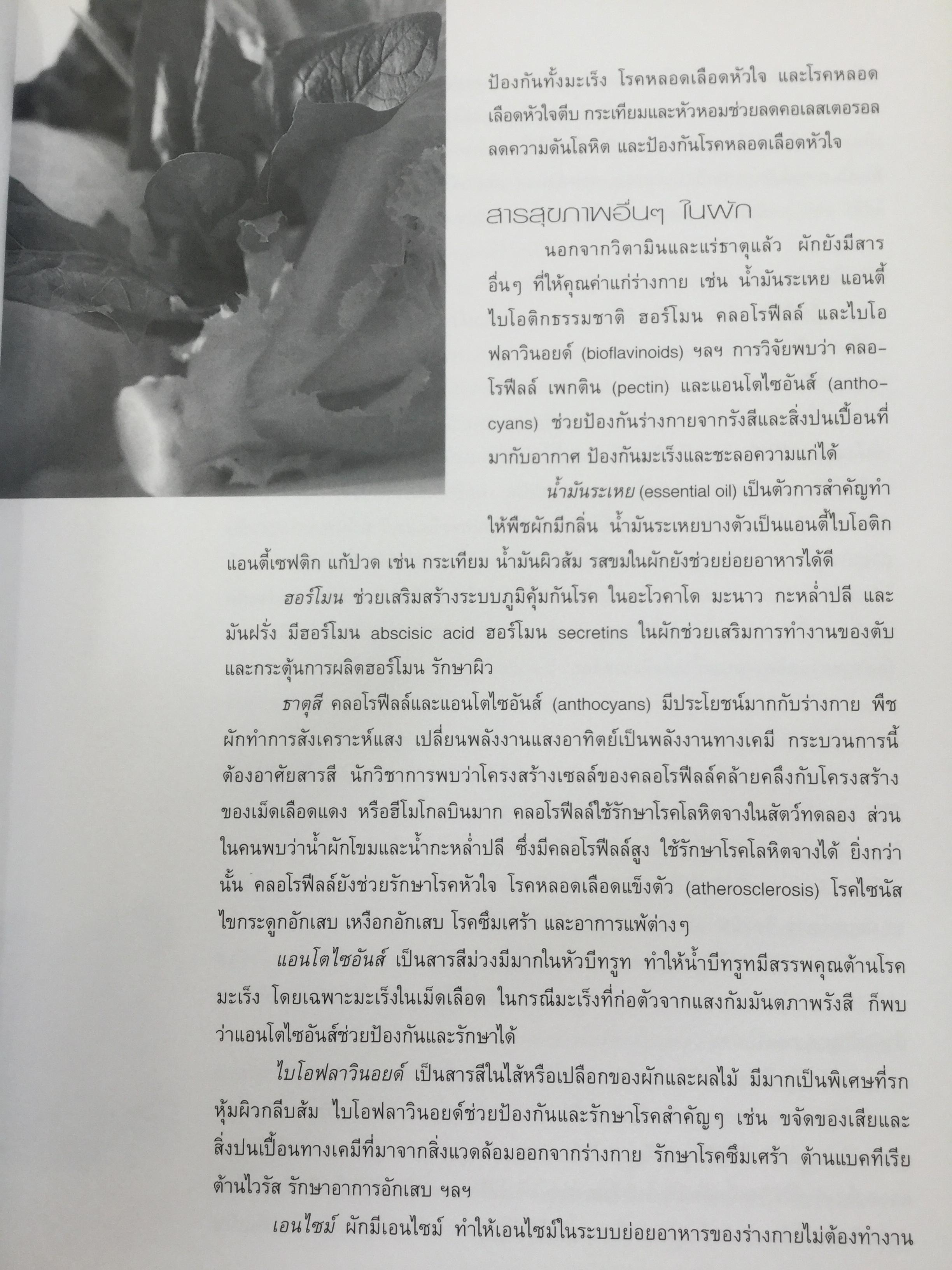 สารานุกรม ผัก เรื่องวัฒนธรรม โภชนาการ และสูตรอาหารของผักนานาชนิด. ผู้เขียน ทวีทอง หงส์วิวัฒน์ 0 กก.