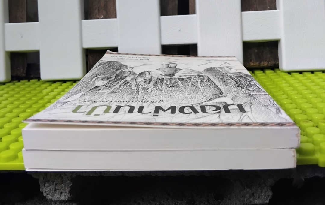 มองผ่านป่า ผู้ที่เห็นจากสรรพเสียง Sees Behind Trees โดย Michael Dorris วรรณกรรมแปลเยาวชน มือ 1