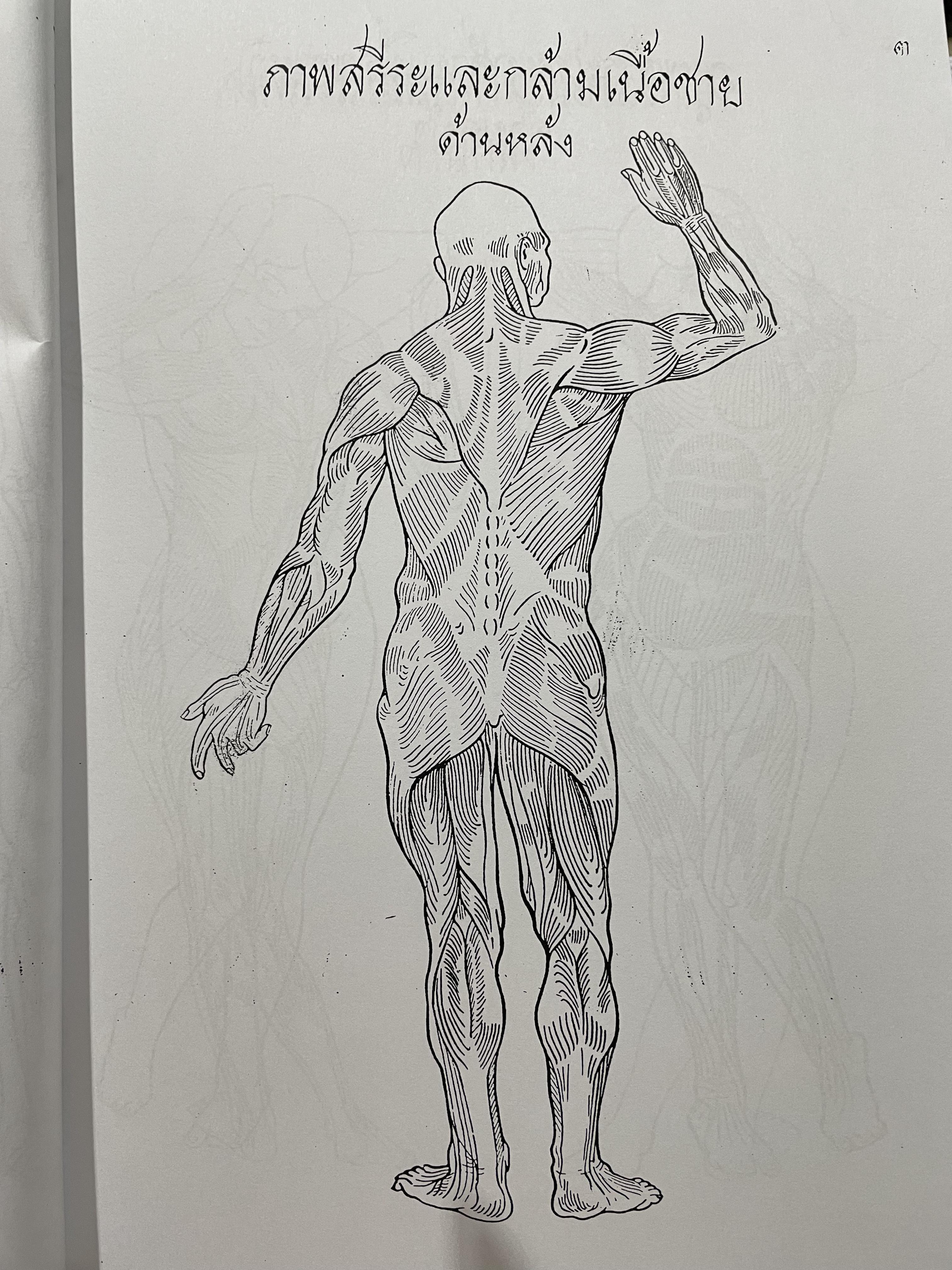 ตำราหมอนวด พระบรมครูชีวกโกมารถัจจฺ ฉบับสมบูรณ์ ภาพประกอบ 66 ภาพ ฤาษีดัดตน 114 ภาพ ดำเนินการโดย หมอ นคร บางยี่ขัน 3 กก.
