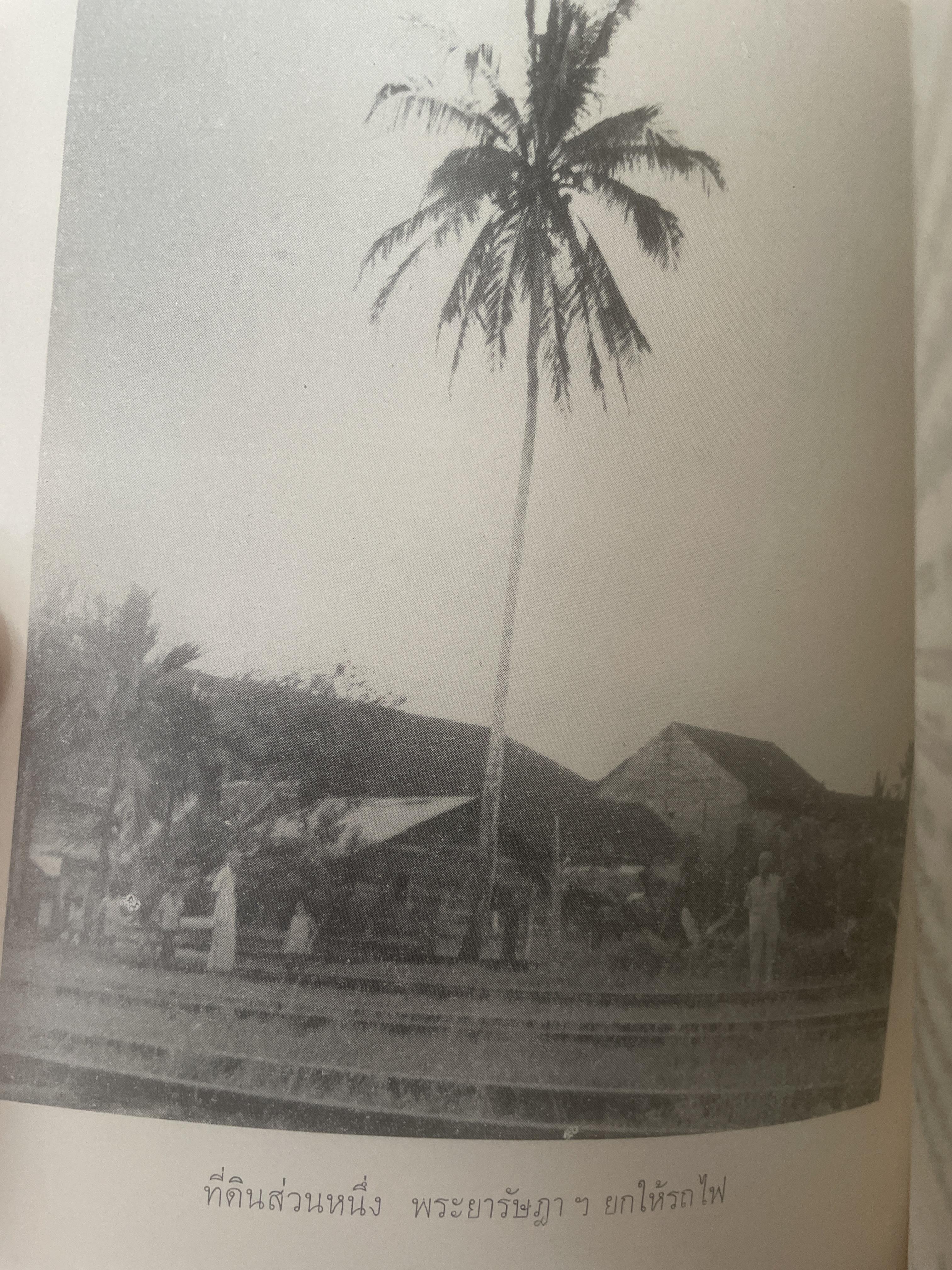 ประวัติและงานพระยารัษฏาฯ(คอซิมบี้) โอย 600 กรัม