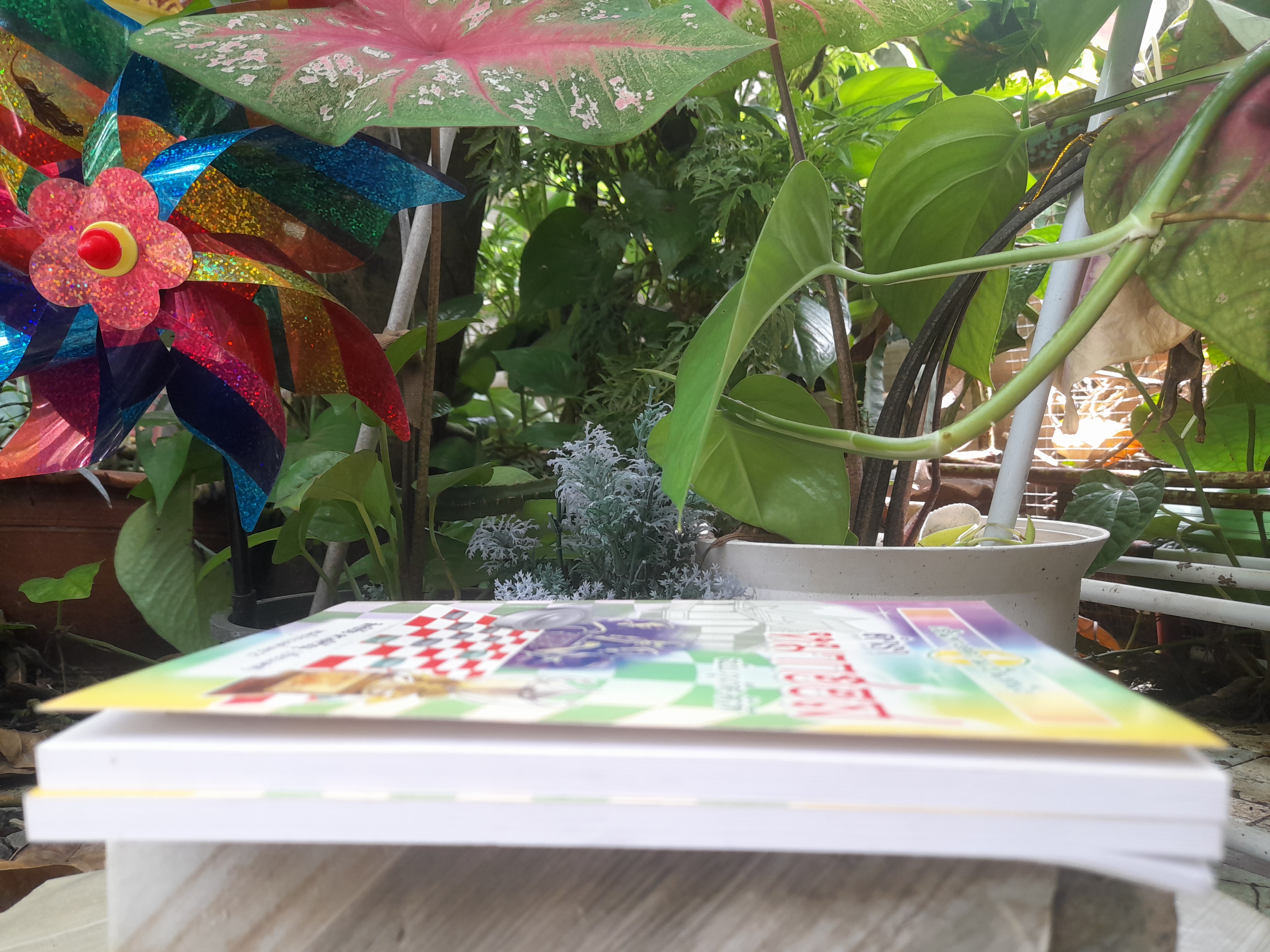 ตำราหมากฮอส ฉบับภูเก็ต - ตัวที โดย สิทธิชัย ดวงหิรัญ (เซียนเดฟ) แชมป์แห่งประเทศไทย ปี พ.ศ. 2527