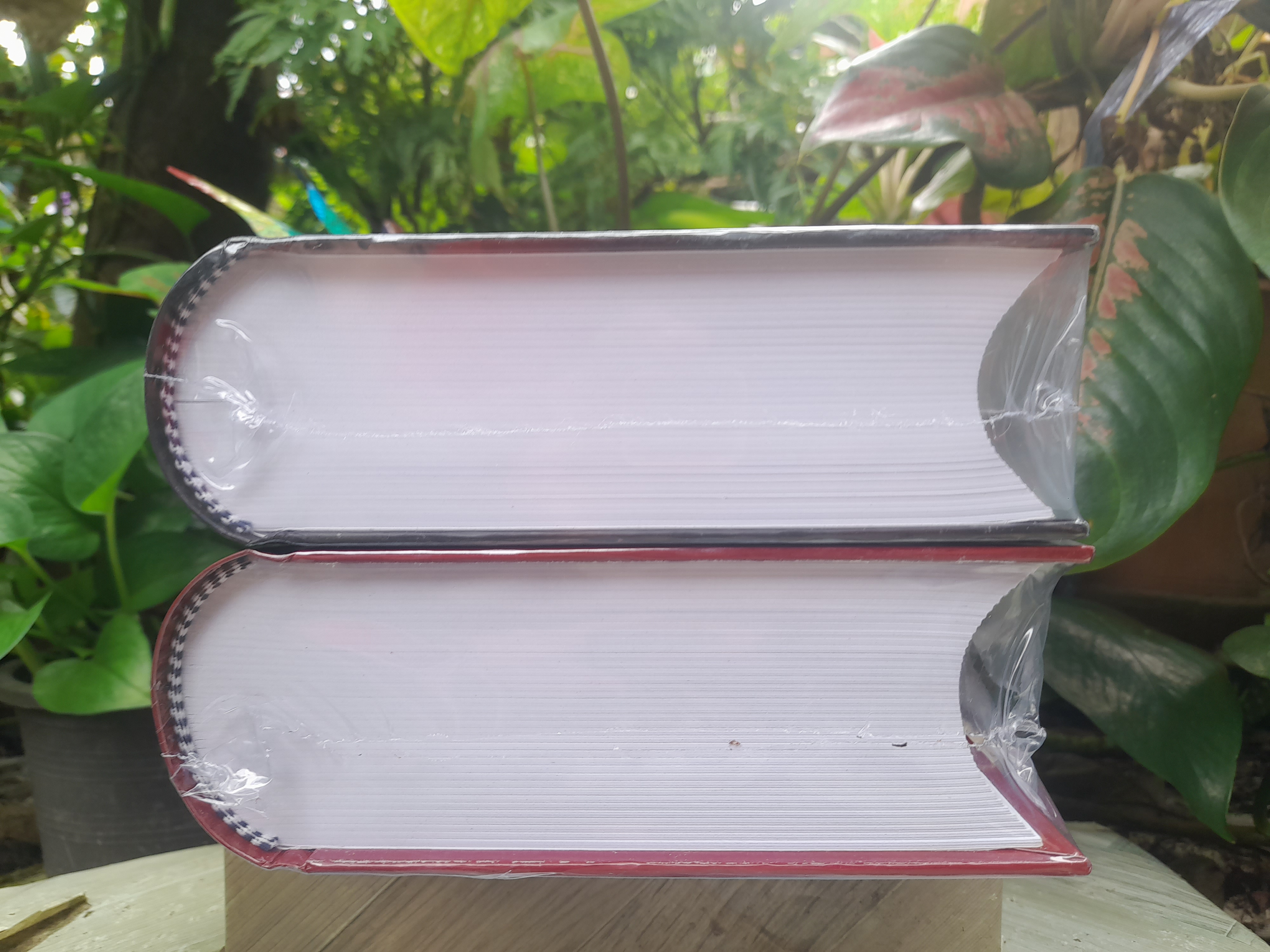 ตำราพระเวทพิสดาร ภาค 1 และ 2 ตำรับเวทย์มนต์สุดยอดของไทย หนังสือมือหนึ่งครับ