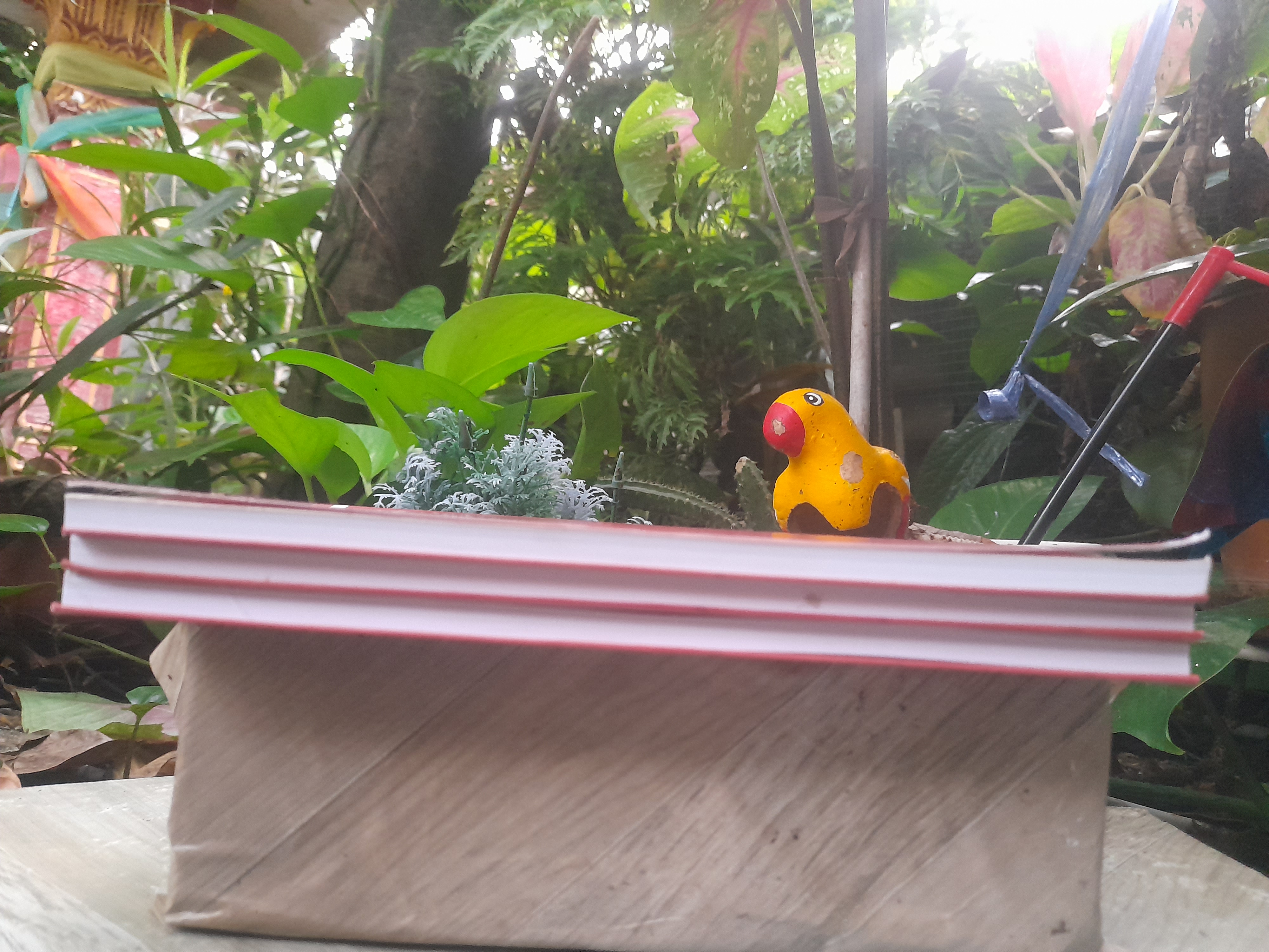 อี้จิง เซียมซีวิทยาศาสตร์ แปลโดย ละเอียด ศิลาน้อย หนังสือดีที่แปลและตีพิมพ์มาแล้วไม่ต่ำกว่า 8 ครั้ง