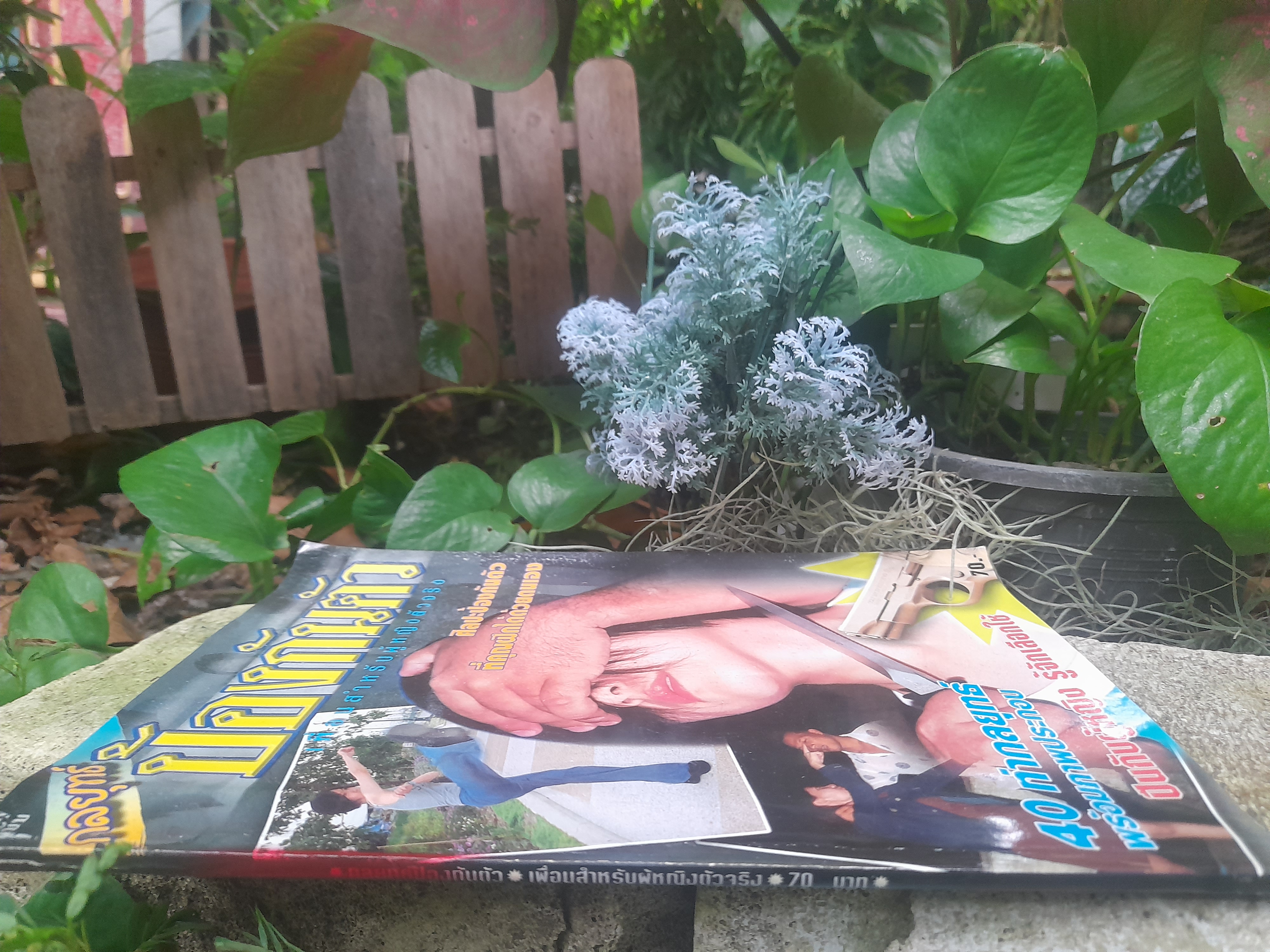 หนังสือกลยุทธ์ป้องกันตัว ศิลปะป้องกันตัวที่คุณฝึกได้ด้วยตนเอง โดย อาคม เศรษฐา