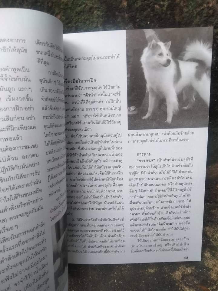 คู่มือการเลี้ยงมะหมาน่ารัก เล่ม 1-2