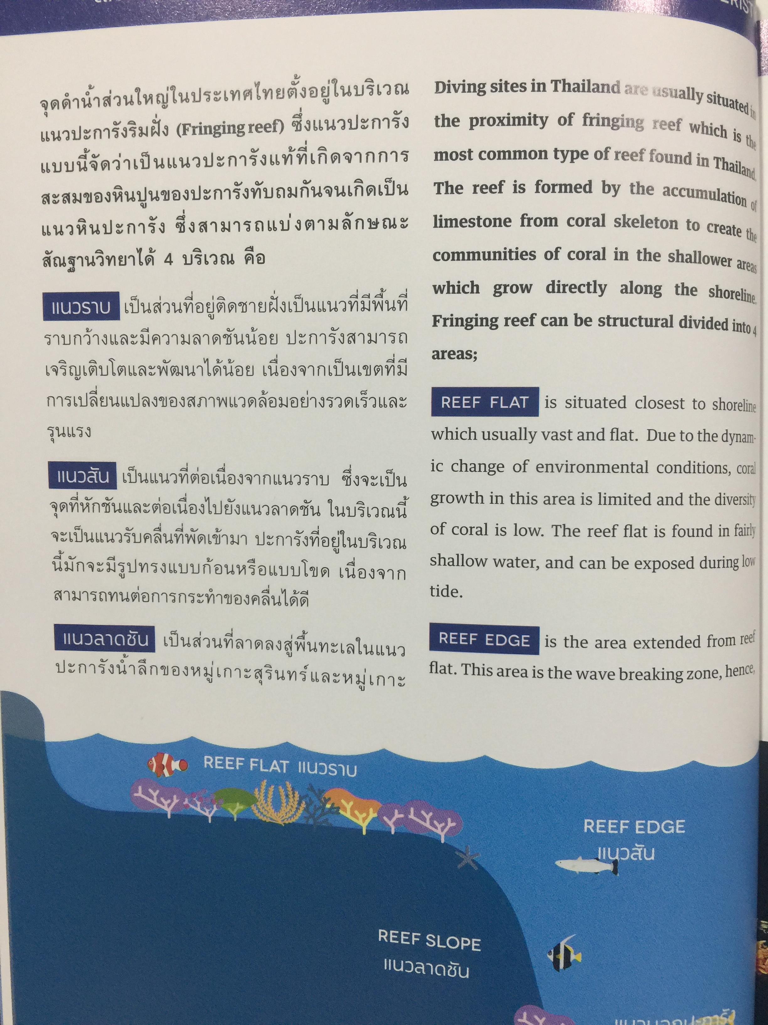 แหล่งดำน้ำที่สำคัญในประเทศไทย. DIVING ATTRACTIONS IN THAILAND 0 กก.