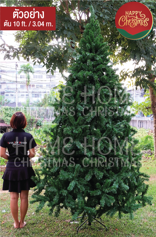 ต้นคริสต์มาส 10 ft. (3.04 m.) สีเขียว