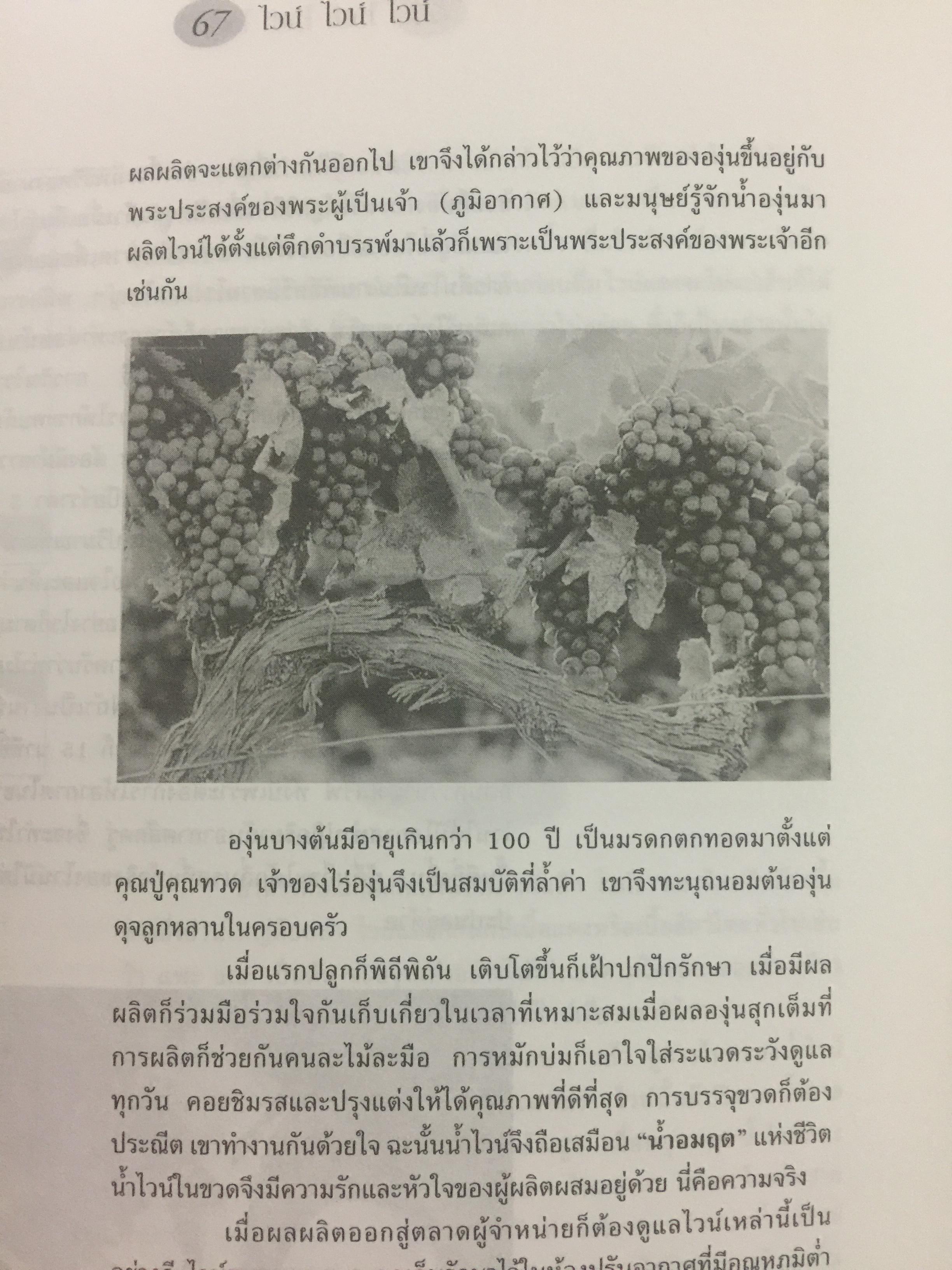 ไวน์. หนังสือสำหรับ ผู้ผลิตไวน์มือใหม่. ผู้เขียน ชัยรัตน์ โมไนยพงศ์ 0 กก.