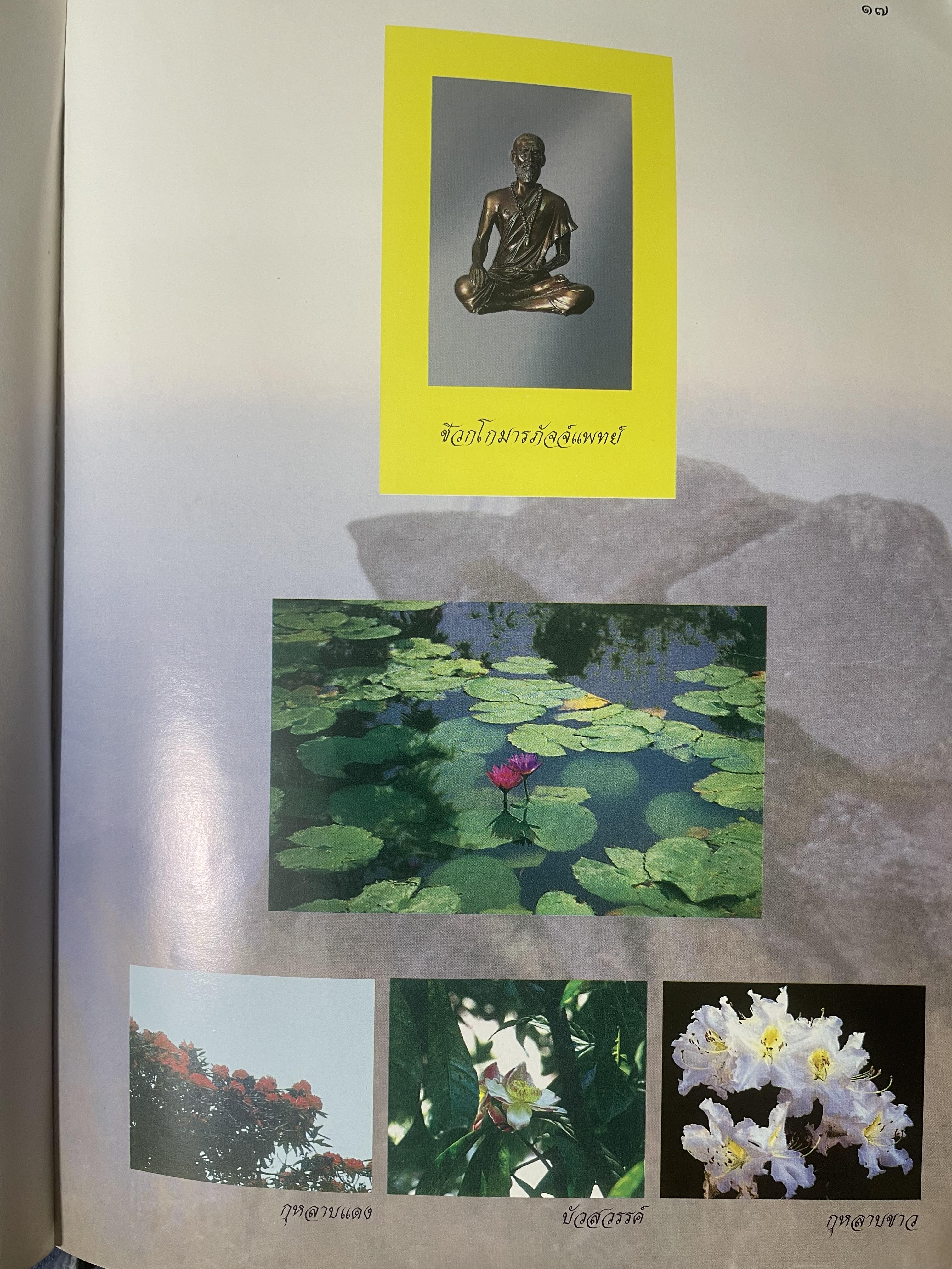 เภสัชกรรมไทยรวมสมุนไพร ฉบับปรับปรุงใหม่ โดน วุฒิ วุฒิธรรมเวช เป็นหนังสือมือสองเล่มใหญ่สภาพดี 4,500 กรัม