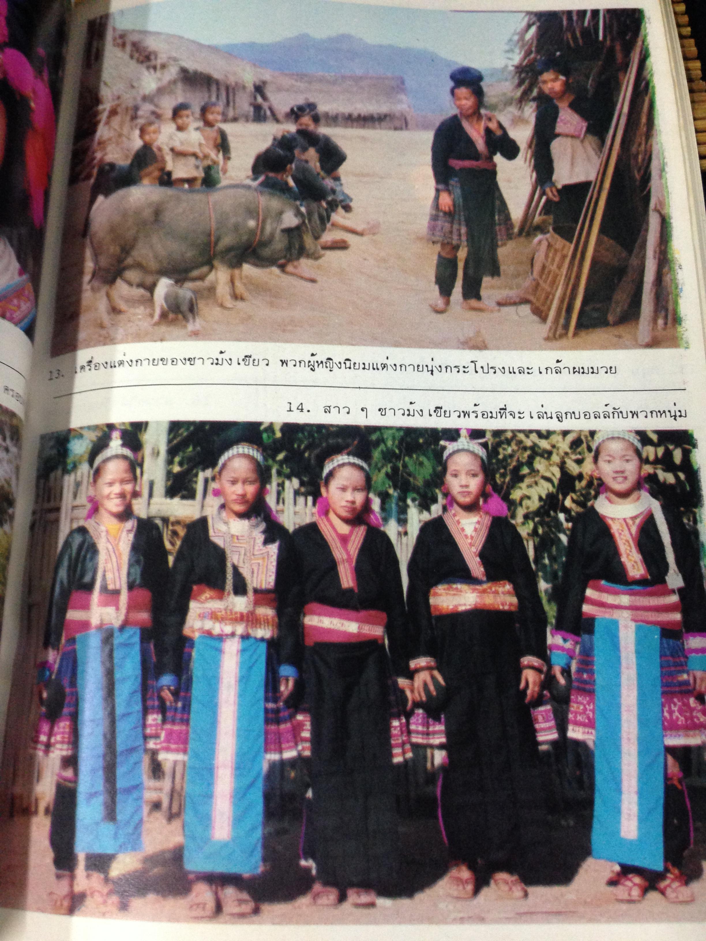 ประวัติของชาวม้ง(แม้ว)