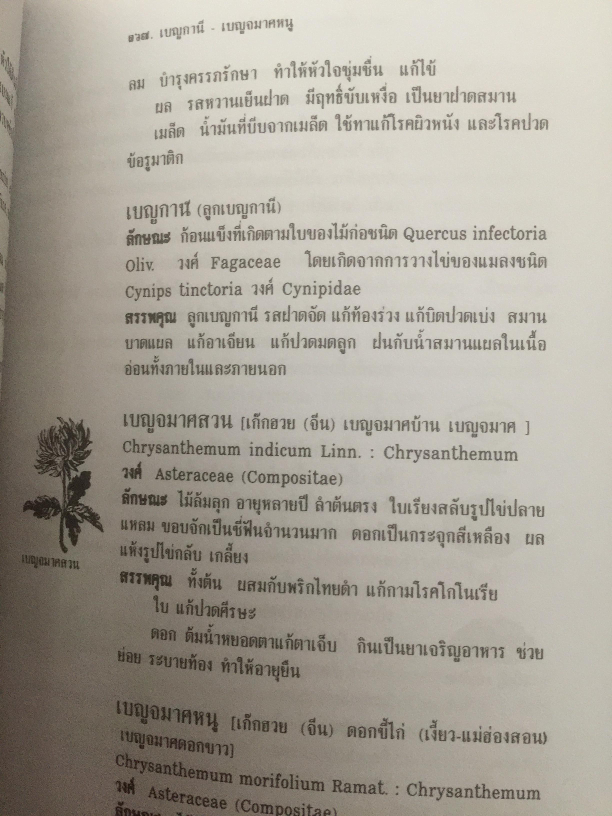 สมุนไพร ร้านเจ้ากรมเป๋อ. ผู้เขียน อุทัย สินธุสาร 2 กก.