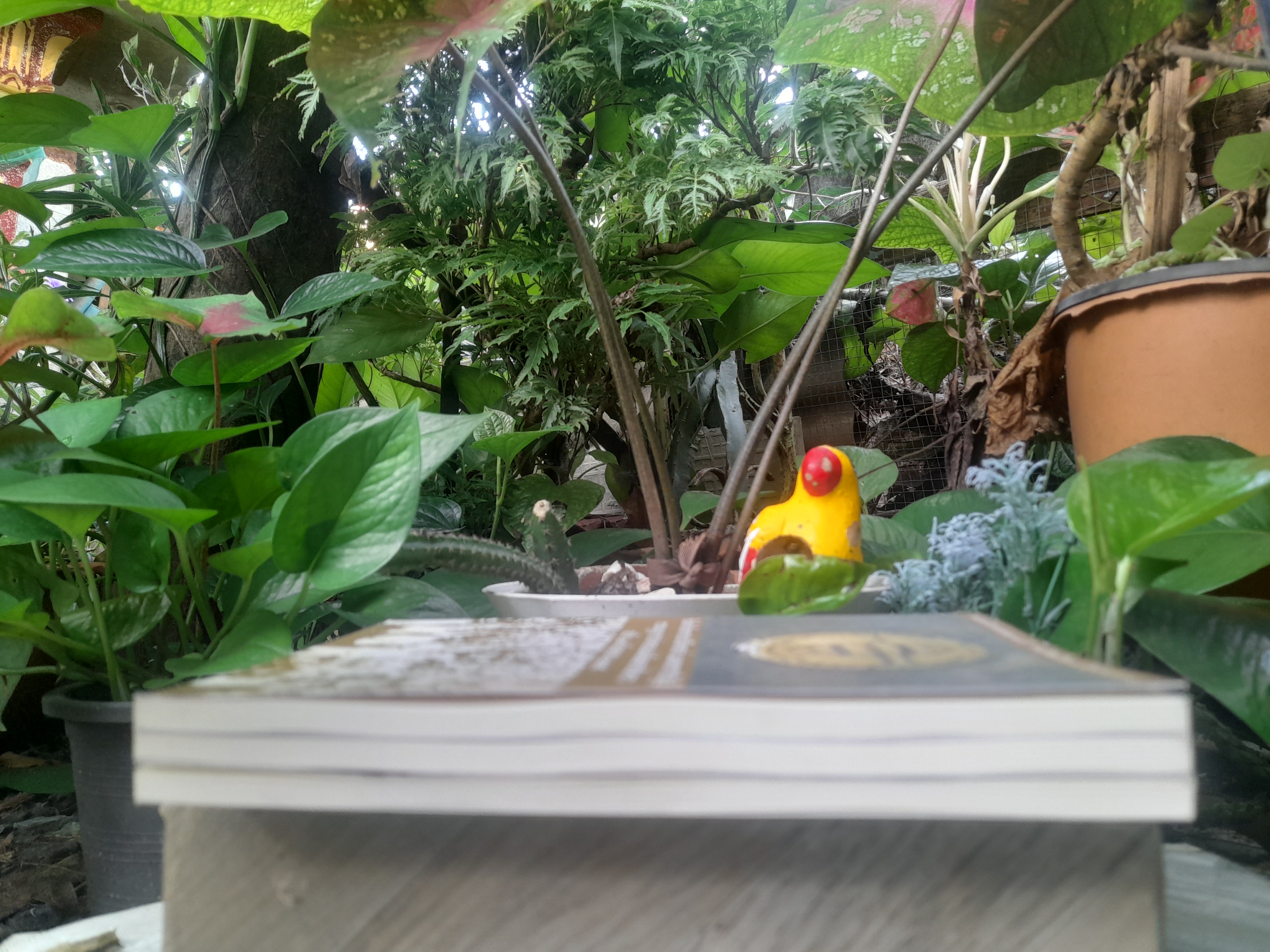 ข้อเท็จจริงทางประวัติศาสตร์ และพระราชบัญญัติธรรมนูญการปกครองแผ่นดินสยามชั่วคราว ฉบับ 27 มิถุนายน 2475 โดย สุพจน์ ด่านตระกูล, ปรีชา สุวรรณทัต หนังสือมือหนึ่ง