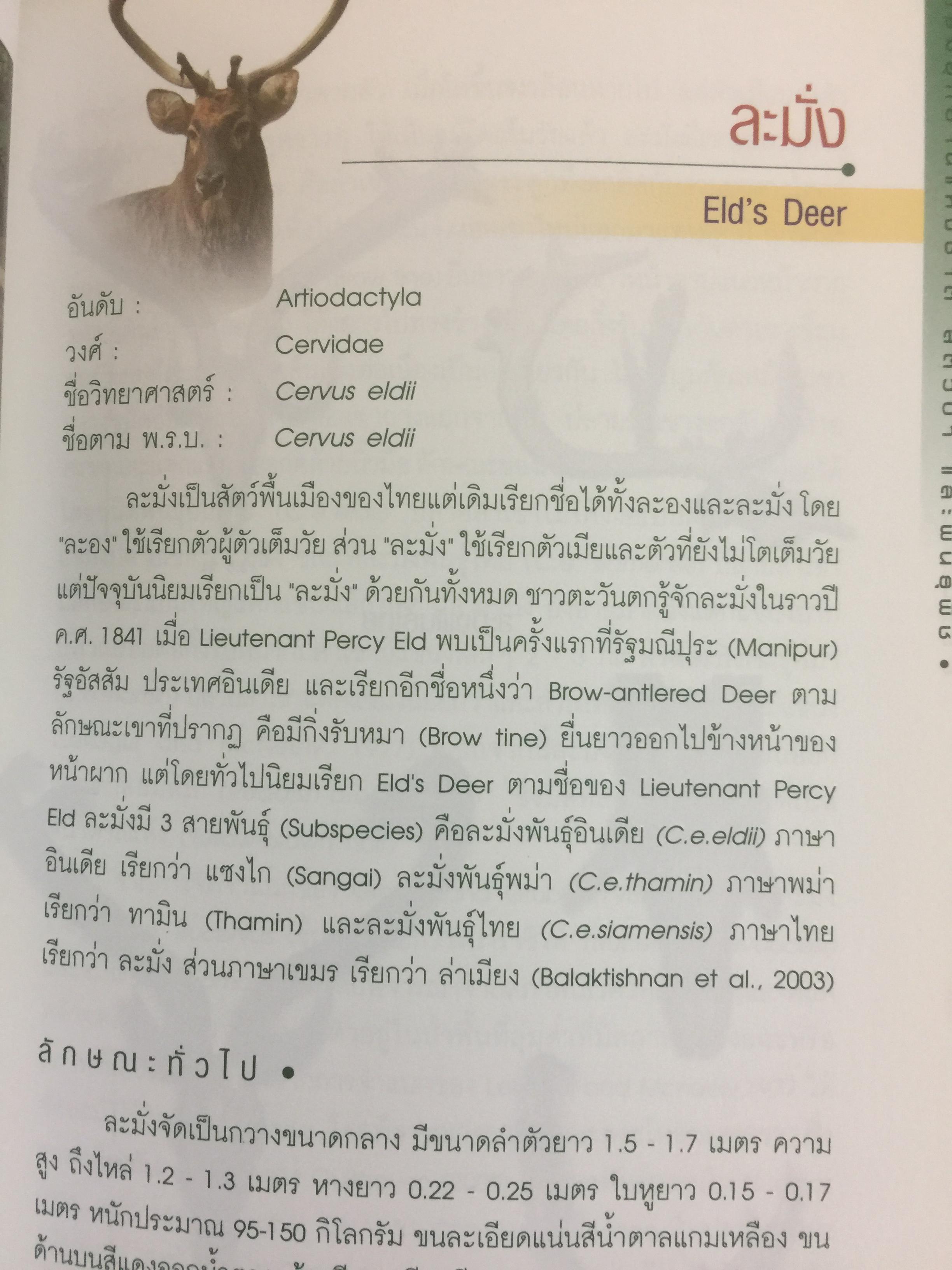 สัตว์ป่าสงวนในประเทศไทย Reserved Animals of Thailand 0 กก.