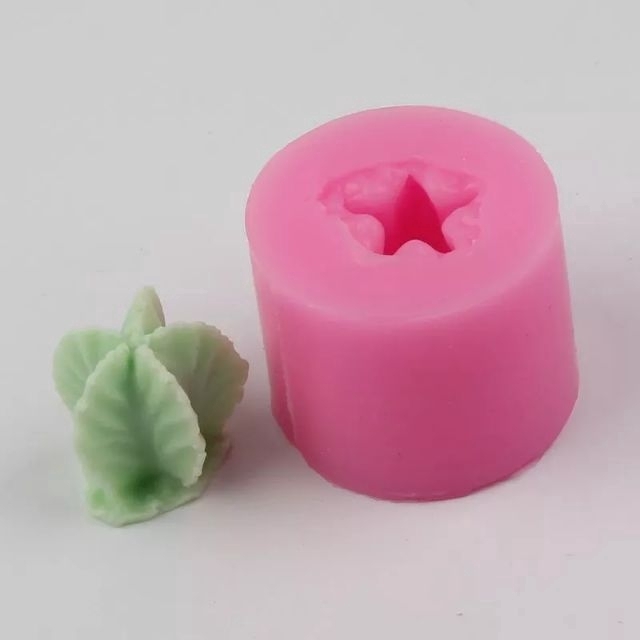 พิมพ์ซิลิโคน กระบองเพชร...........