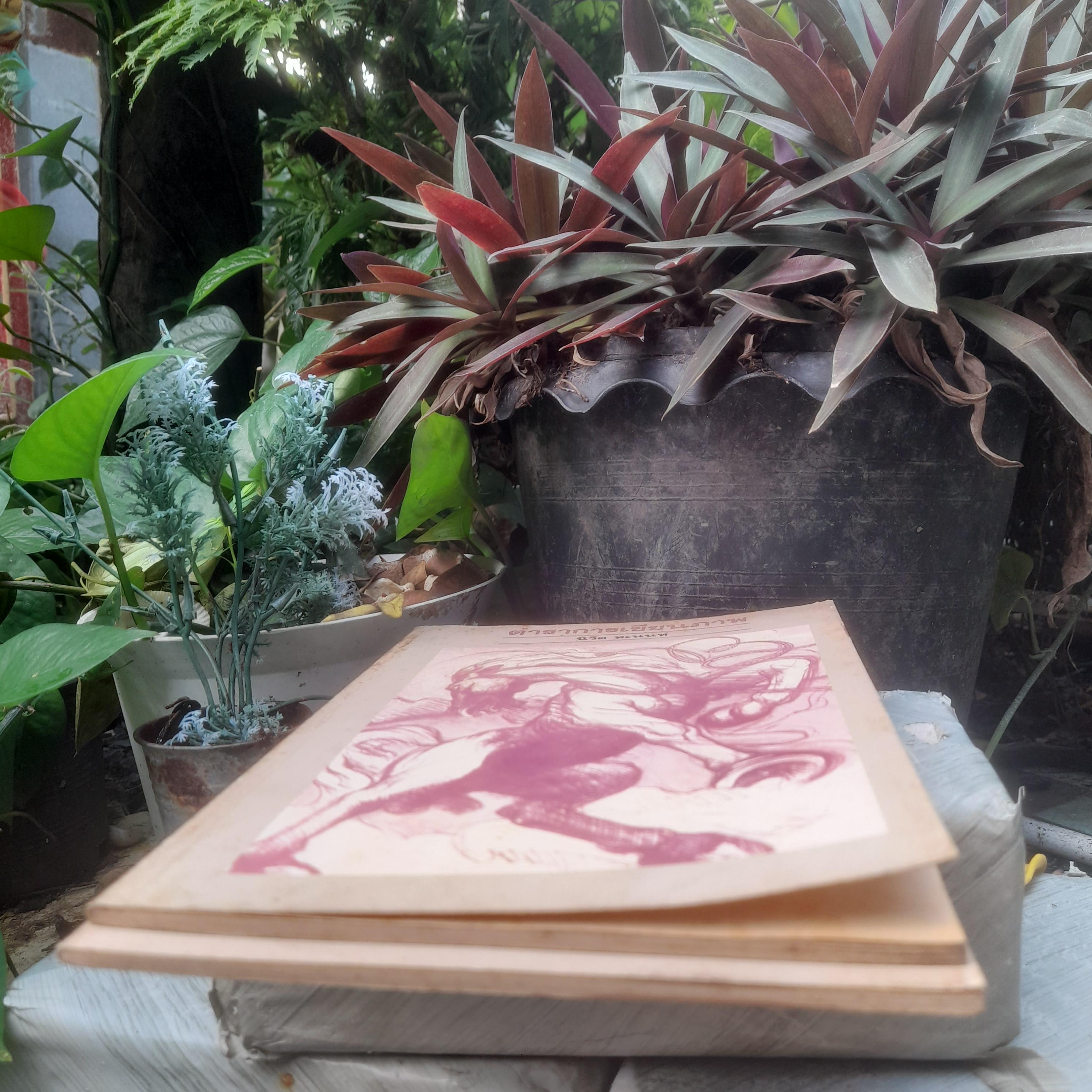 ตำราการเขียนภาพ โดย นิวิต หะนนท์ หนังสือมือหนึ่ง สภาพอ่าน