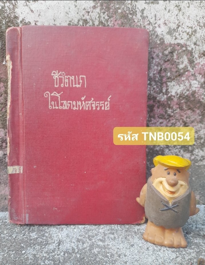 ชีวิตนกในโลกมหัศจรรย์ โดย ชิต สุนทโรทยาน