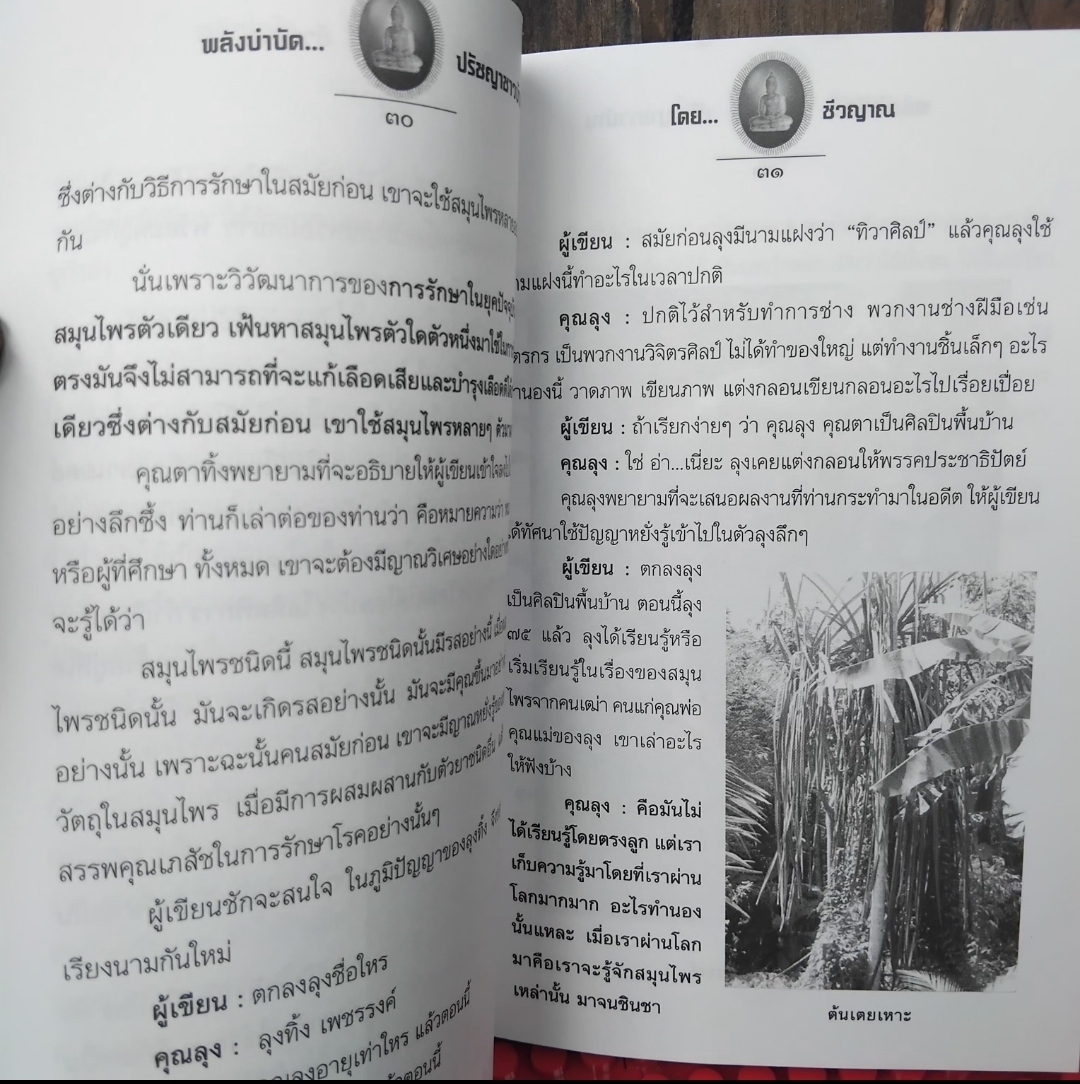 พลังบำบัดปรัชญาชาวบ้าน โดย ชีวญาณ พลังธรรมชาติ พลังบำบัด ช่วยพัฒนากายจิต หนังสือชุดภูมิปัญญาบรรพกาล มือ1
