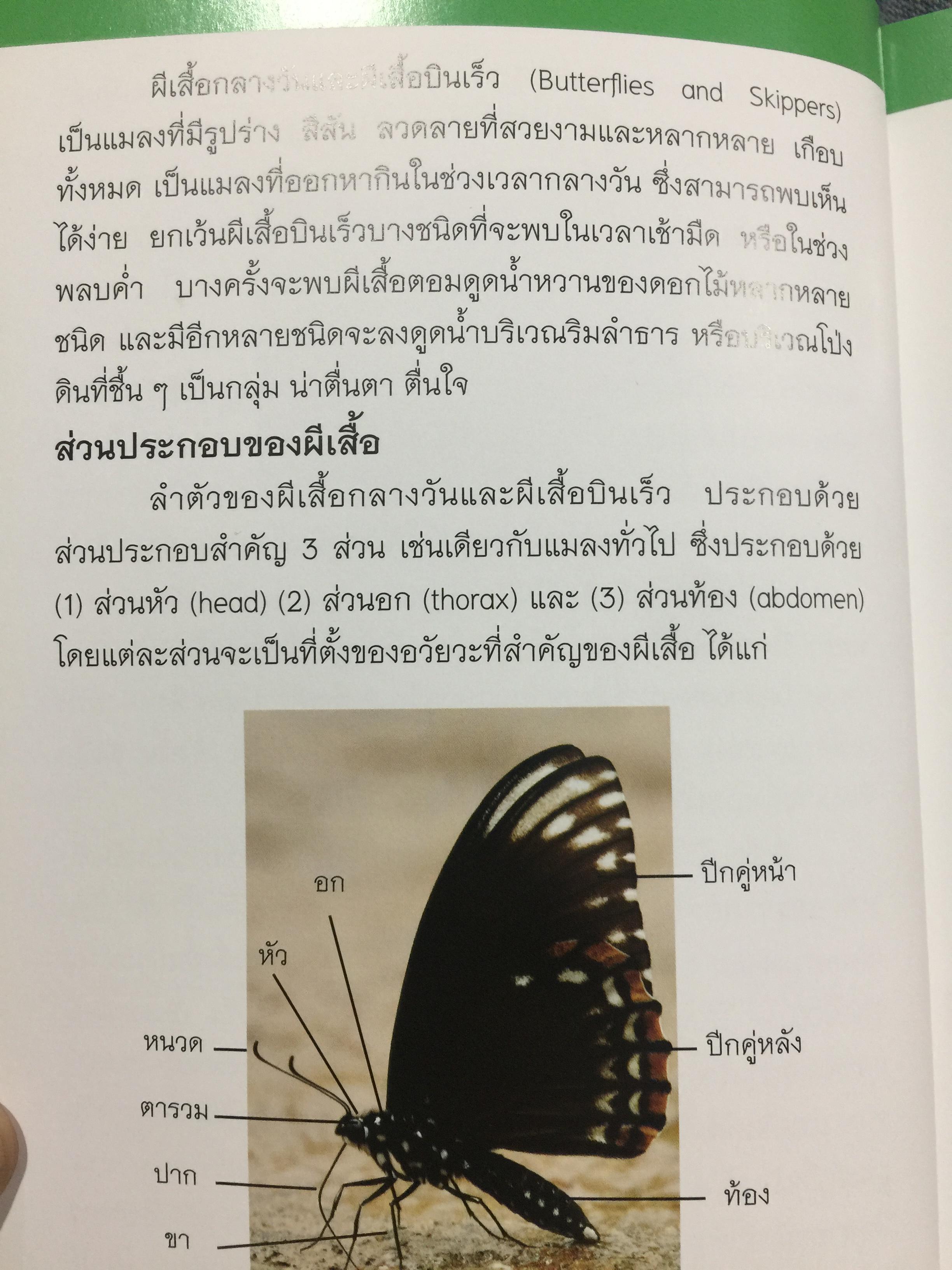 บันทึกผีเสื้อ 2. BUTTERFLIES AND SKIPPERS จัดทำโดย สำนักวิจัยการอนุรักษ์ป่าไม้และพันธุ์พืช กรมอุทยานแห่งชาติ สัตว์ป่าและพันธุ์พืช 0 กก.