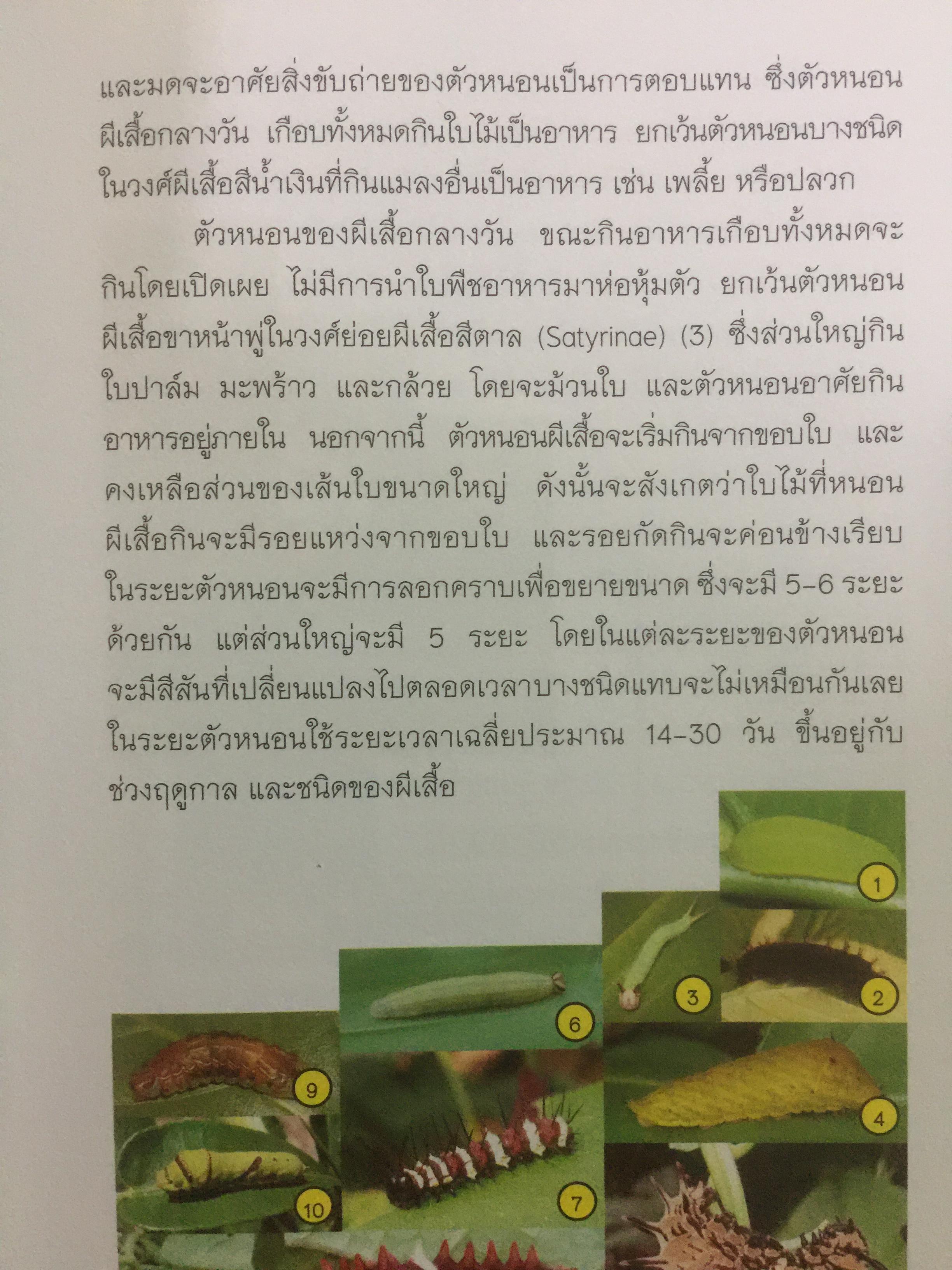 คู่มือผีเสื้อ. จัดทำโดย สำนักวิจัยการอนุรักษ์ป่าไม้และพันธุ์พืช กรมอุทยานแห่งชาติ สัตว์ป่า และพันธุ์พืช 0 กก.