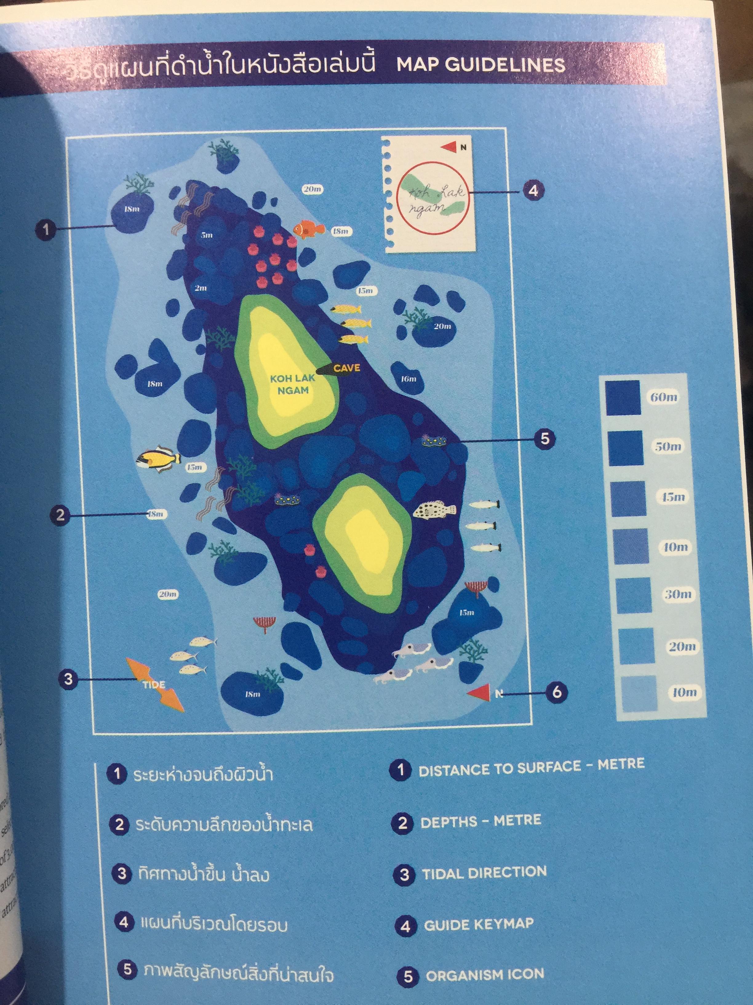 แหล่งดำน้ำที่สำคัญในประเทศไทย. DIVING ATTRACTIONS IN THAILAND 0 กก.