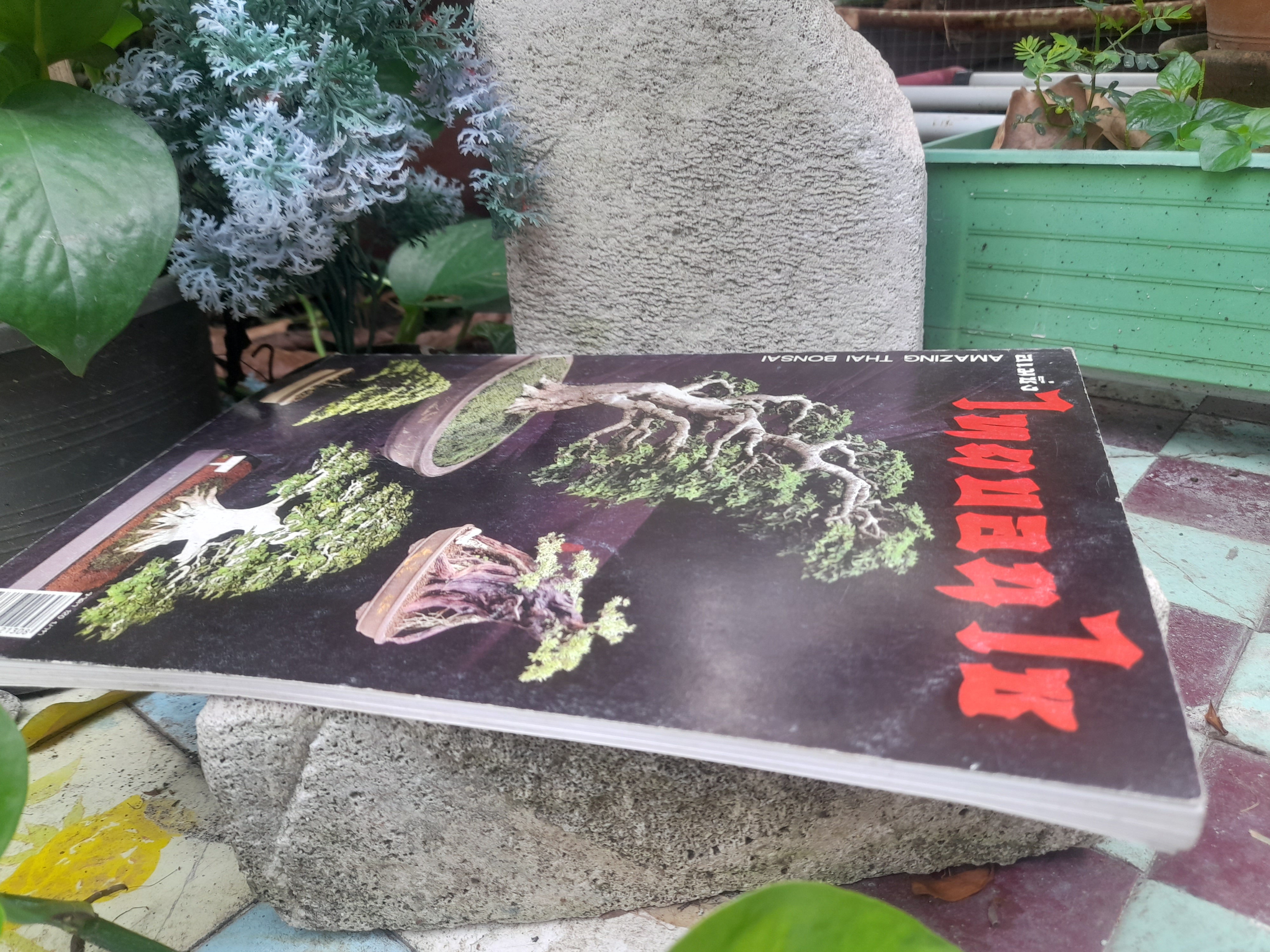 อเมซิ่งไทยบอนไซ หนังสือที่รวบรวมเทคนิคทุกอย่างเกี่ยวกับบอนไซ