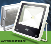 LED Flood Light Slim 30w BIOBULB สีขาว (แสงขาว)