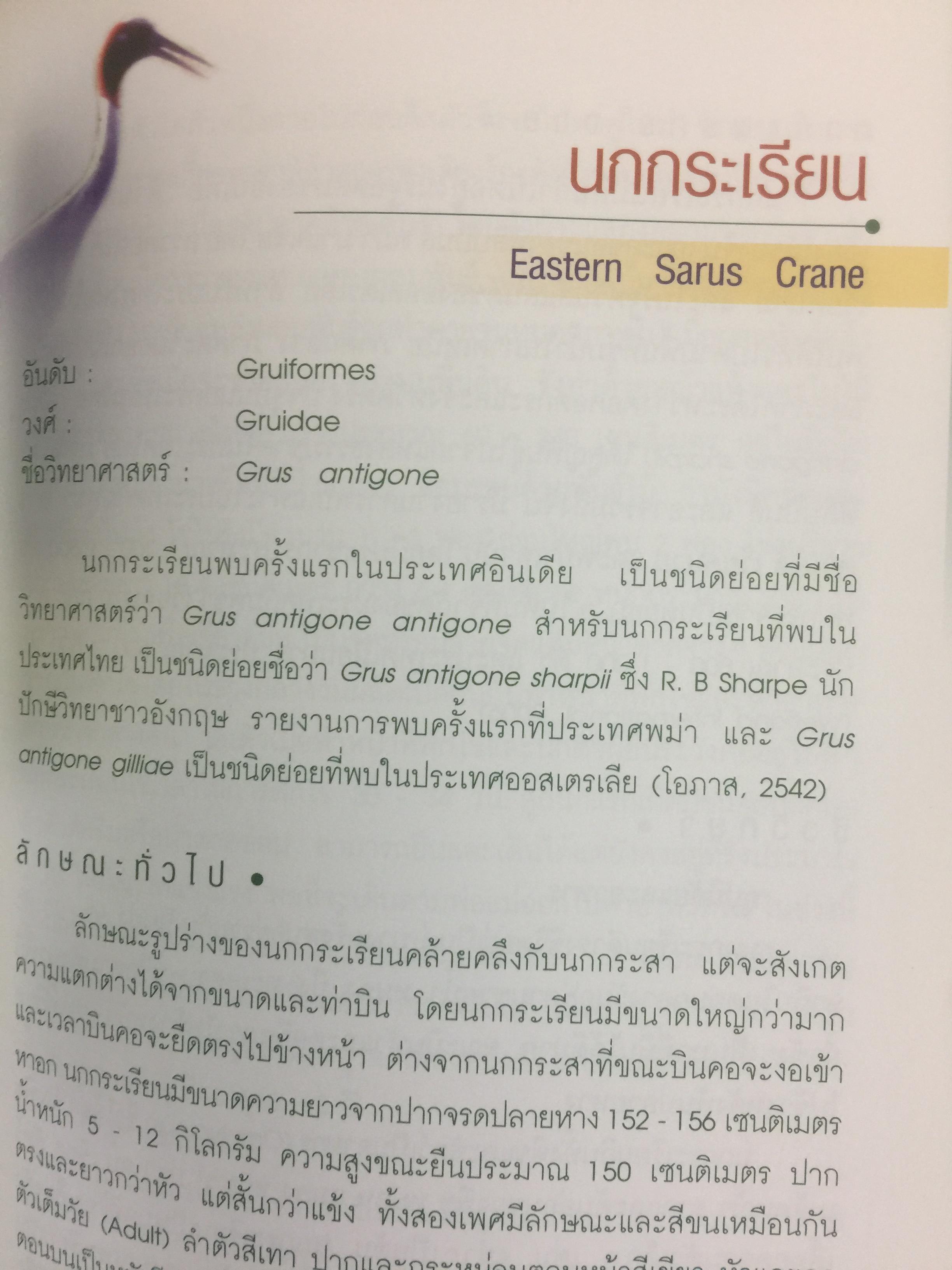 สัตว์ป่าสงวนในประเทศไทย Reserved Animals of Thailand 0 กก.