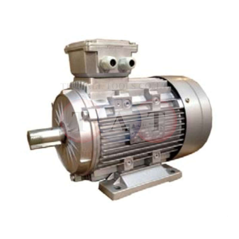 มอเตอร์จีนรุ่นงานหนัก THREE PHASE 6300524