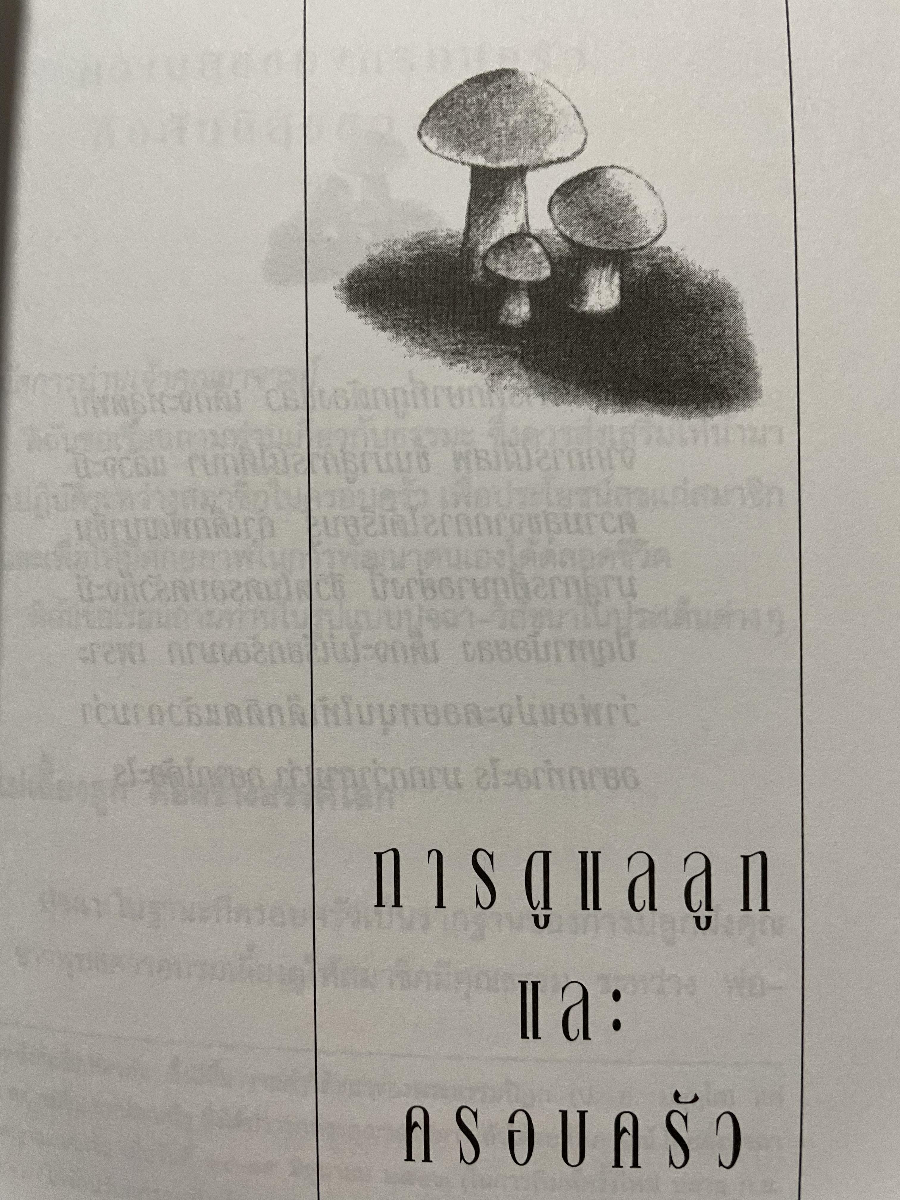 สูตรเพิ่มพลังเพศและรักษาโรค พิสูจน์ความแน่จริง สู่ความเป็นชายที่เหนือชาย ตำราขาไทยแผนโบราณ อนุรักษ์ของดีไทย ผู้เรียบเรียง วันชัย โรจน์เมธี 0 กก.