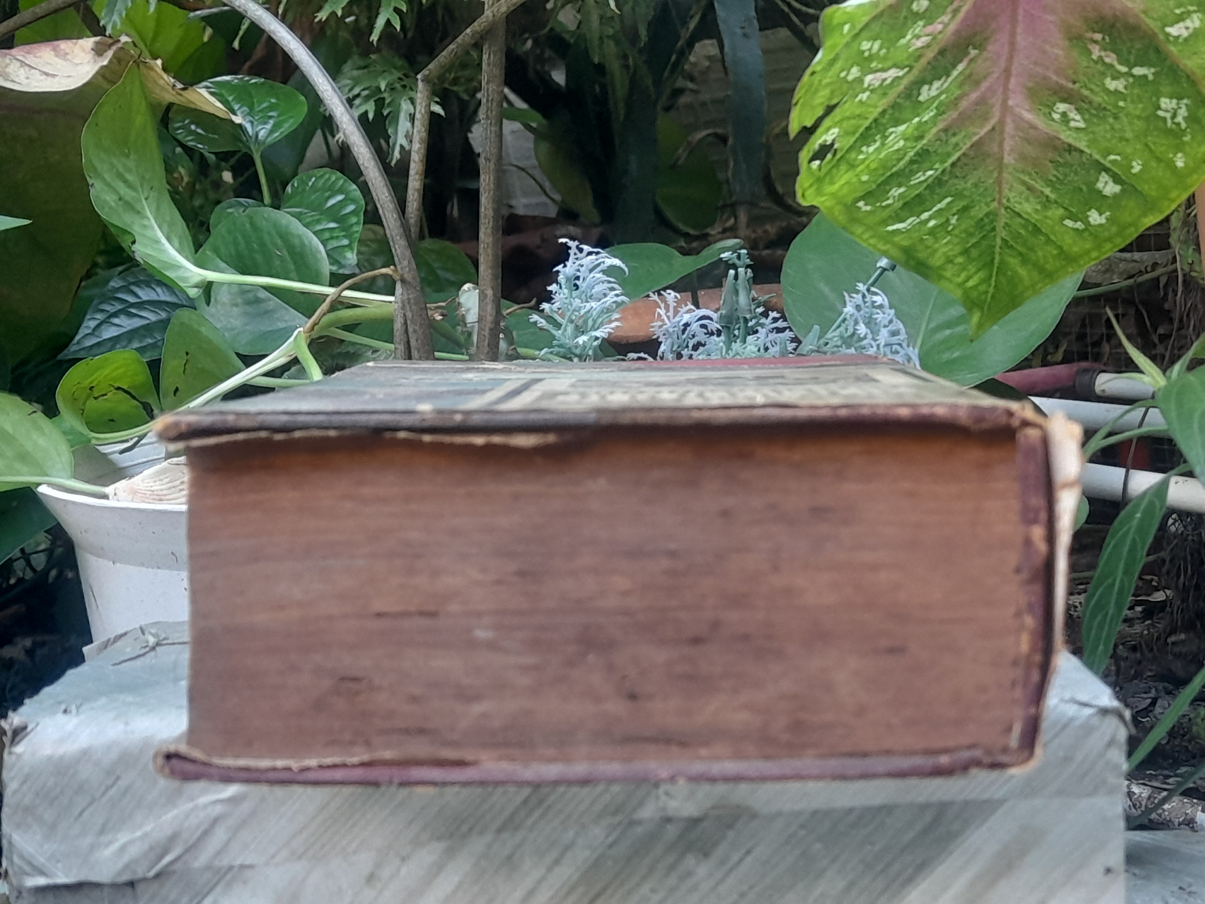 ประเพณีและวัฒนธรรมเมืองเหนือ (เที่ยวเมืองเหนือ) โดย สงวน โชติสุขรักษ์ เสน่ห์ ในประเพณีและวัฒนธรรมของเมืองเหนือ ที่น่าสนใจและหาอ่านได้ยาก