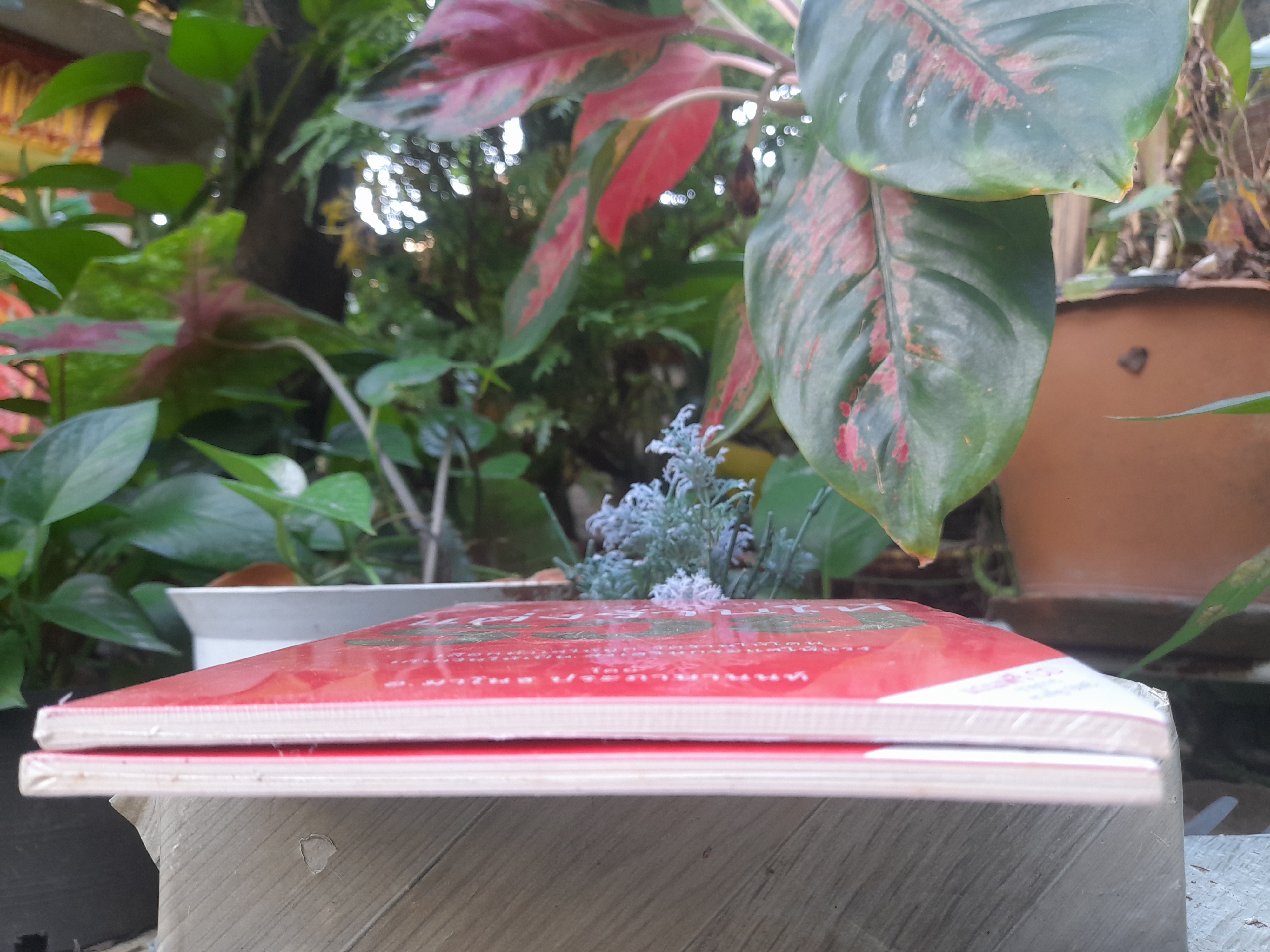 ฮวงจุ้ย SME แต่งร้านให้รวย โดย อ.มาโนช ประภาษานนท์ มือหนึ่งในซีล พร้อม CD รายการฮวงจุ้ย SME