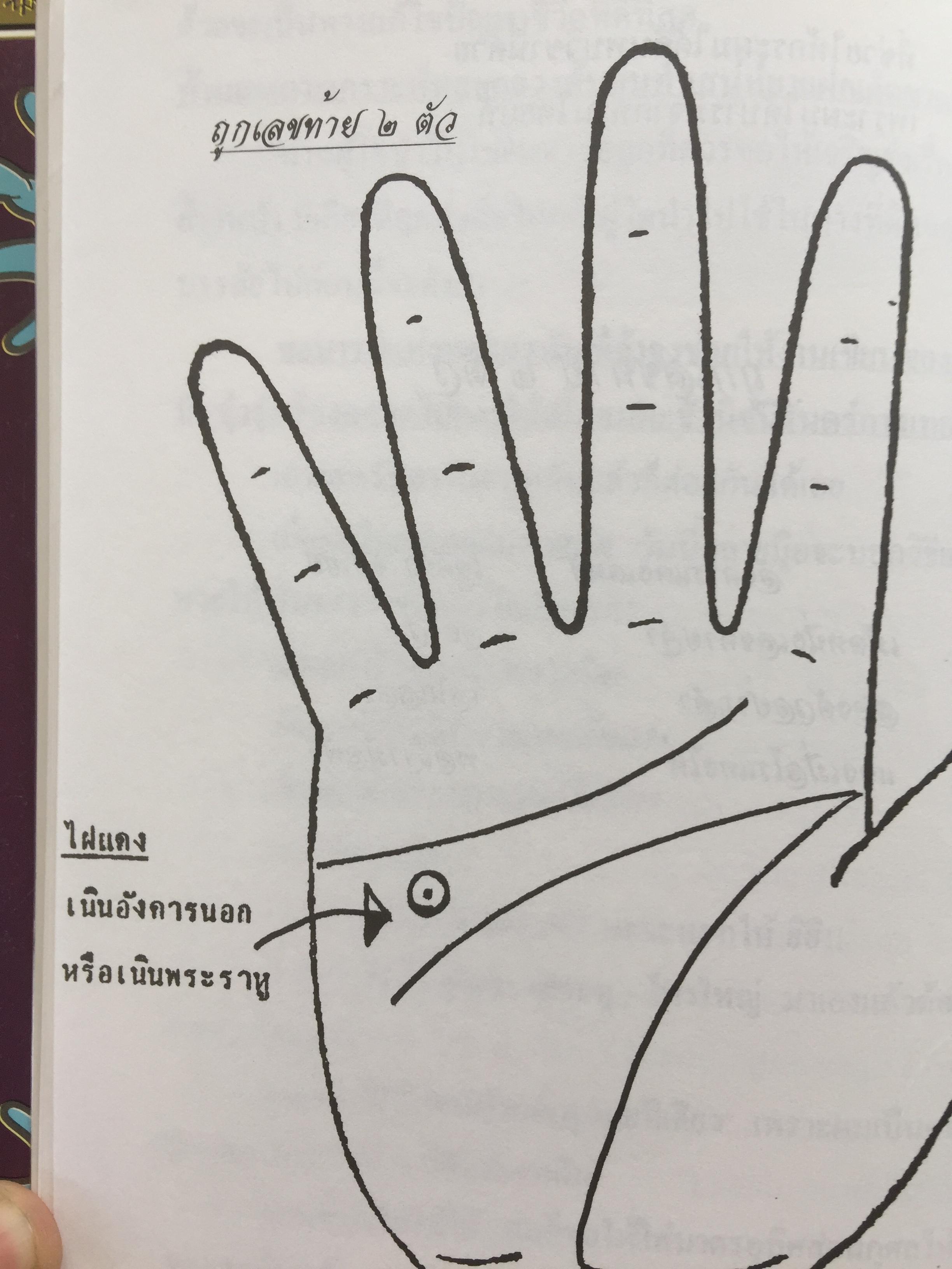 1)ลายมือคือตัวแทนของคุณ. ลักษณ์ เรขานิเทศ 2) แนะลายเส้นบนฝ่ามือ เสน่ห์ ชูกุล. 3)โหรใหญ่คุยเฟื่องเรื่องลายมือ บัญชา เลิศธนู 4) ทำนายลายมือ ทำนายปาน-ไฝ ทายใจ ทำนายอนาคต. ส.วิษณุรักษ์ 0 กก.
