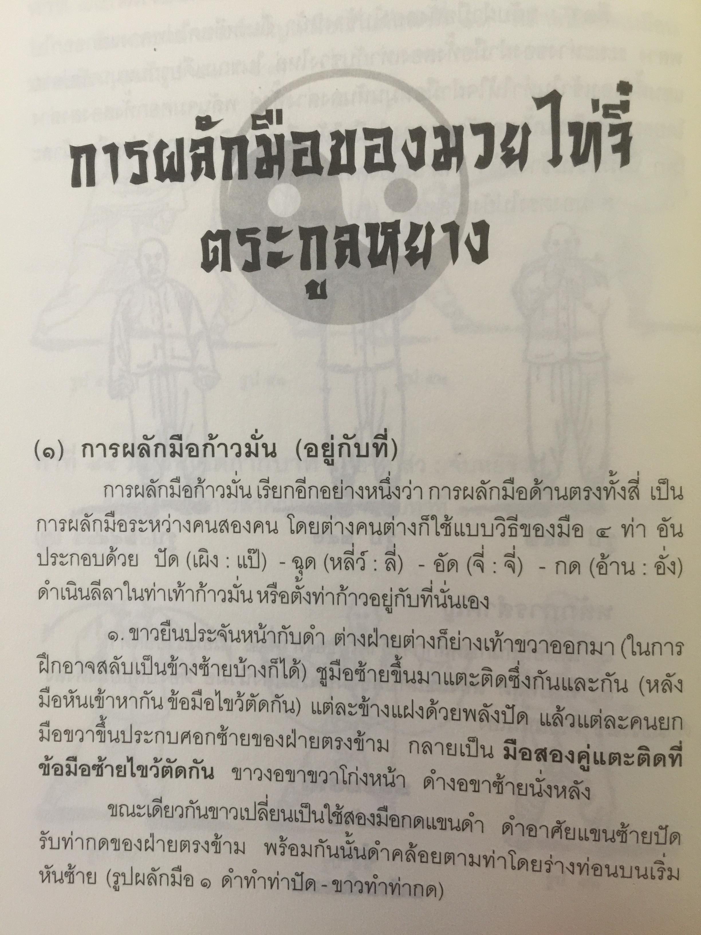 มวยพลังภายใน ไทเก๊ก(มวยไท้จี๋ตระกูลหยาง) 2,500 กรัม