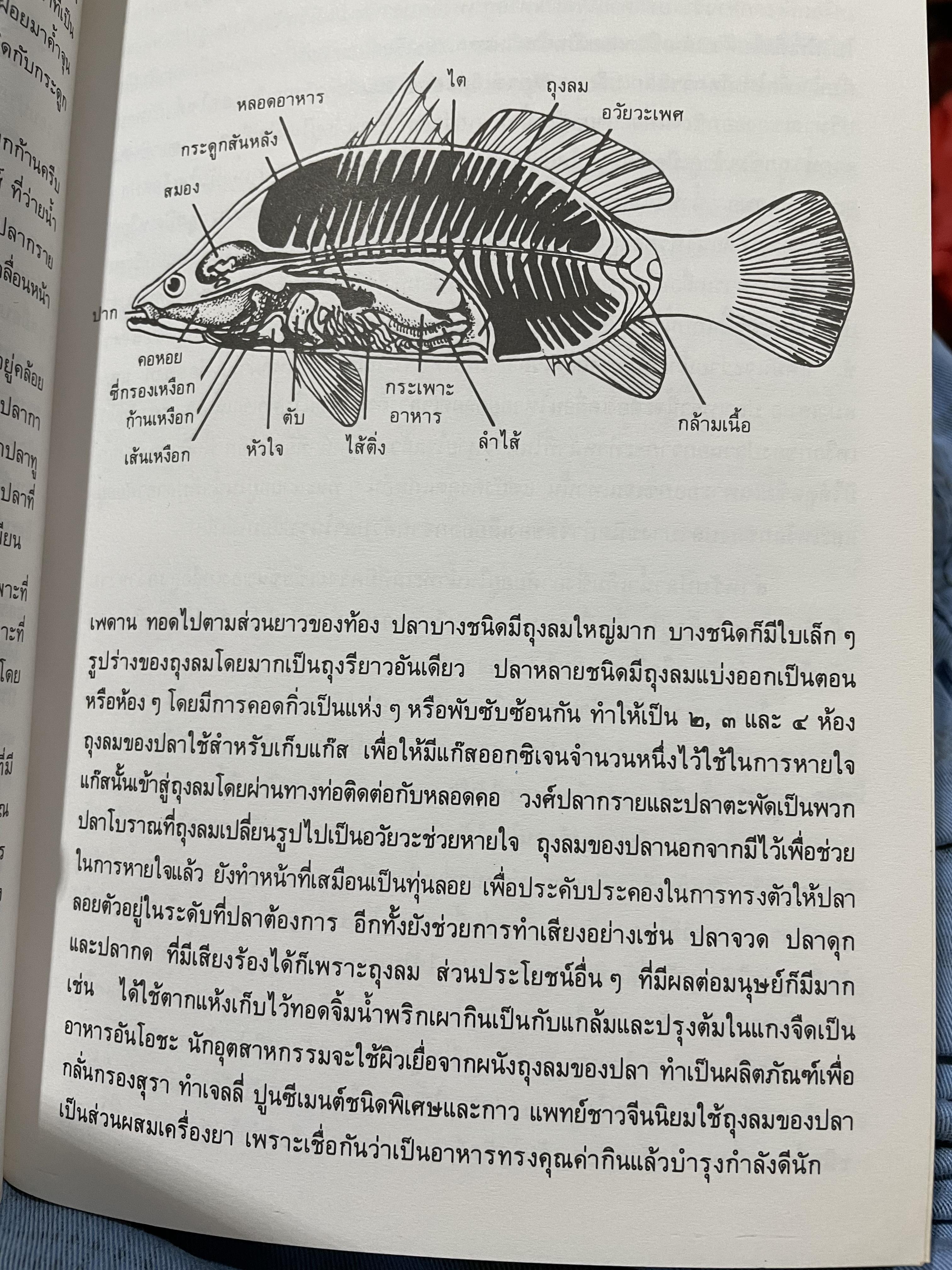 ภาพปลา และสัตว์น้ำของมไทย จัดทำโดย กรมประมง กระทรวงเกษตรและสหกรณ์ 0 กก.
