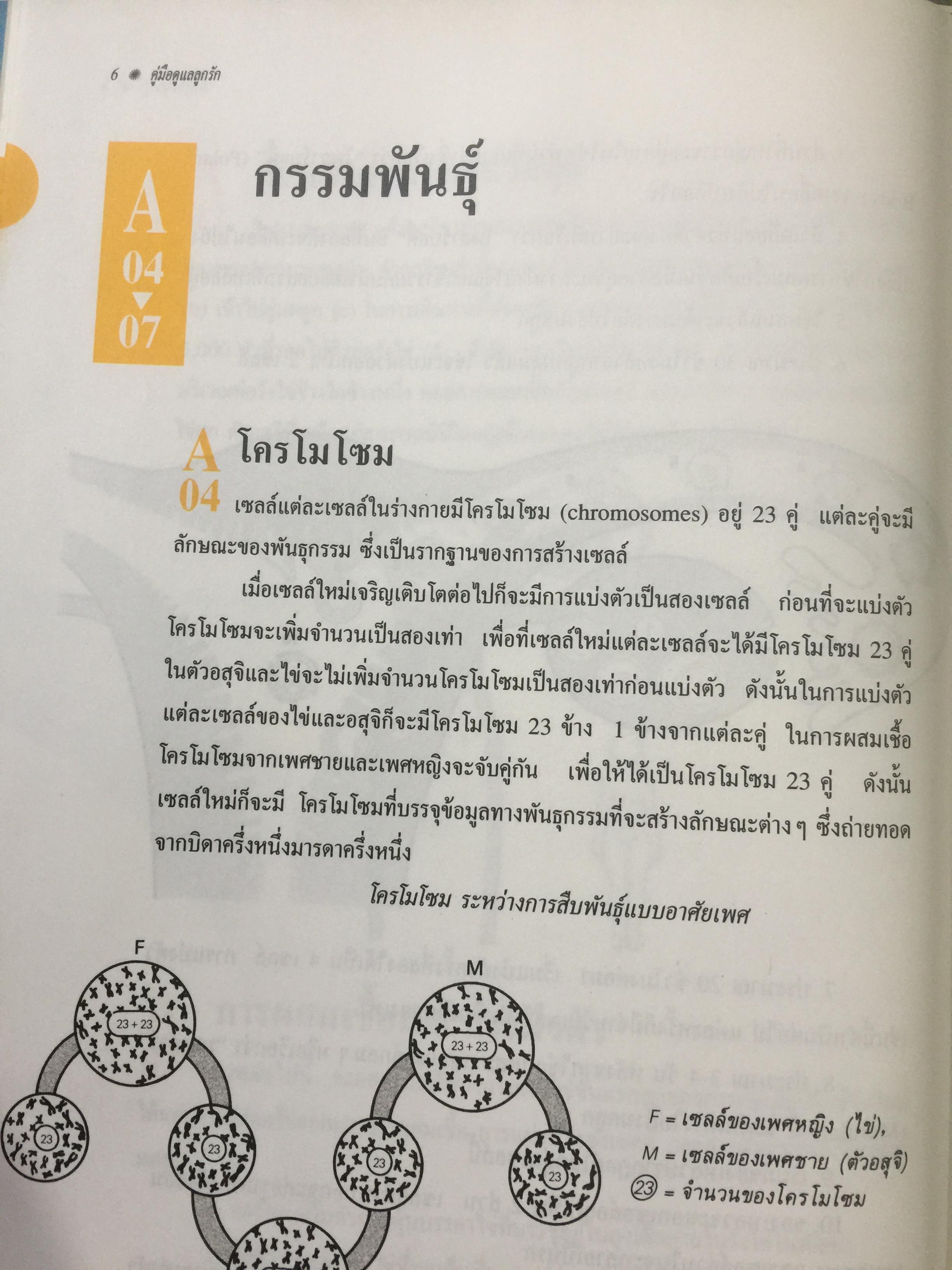 ดูแลูกรัก เรียนรู้เพื่อเข้าใจลูกตั้งแต่อยู่ในครรภ์จนถึงวัยรุ่น ร่างกาย อารมณ์ สังคม สติปัญญา. ผู้แปล จันทร์เพ็ญ ศรีมัมตะ 0 กก.