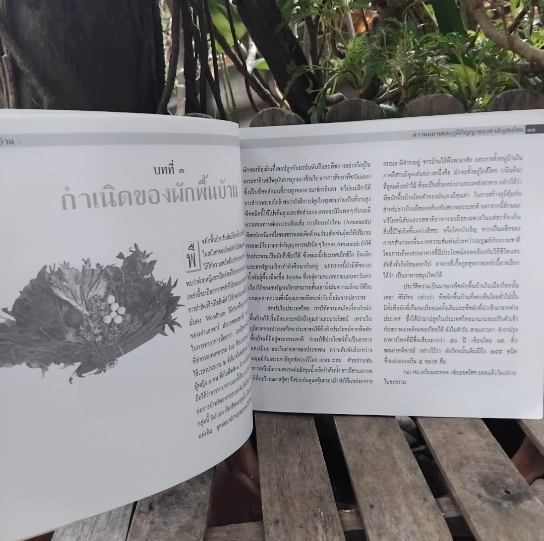 ผักพื้นบ้าน ความหมายและภูมิปัญญาของสามัญชนไทย กำเนิดผักพื้นบ้าน ชนิด-ประโยชน์ทางยา สูตรปรุงอาหาร สะสม