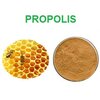Propolis (โพรโพลิส หรือ โพรพอลิส)