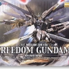 Freedom Gundam Extra Finish