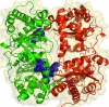 เอนไซม์ เอนไซม์อาหาร เอนไซม์ในอาหาร เอนไซม์อุตสาหกรรม (Enzyme , Food Enzyme , Industrial Enzyme)