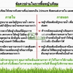 การเลือกหญ้าเทียมให้เหมาะสมกับการใช้งาน